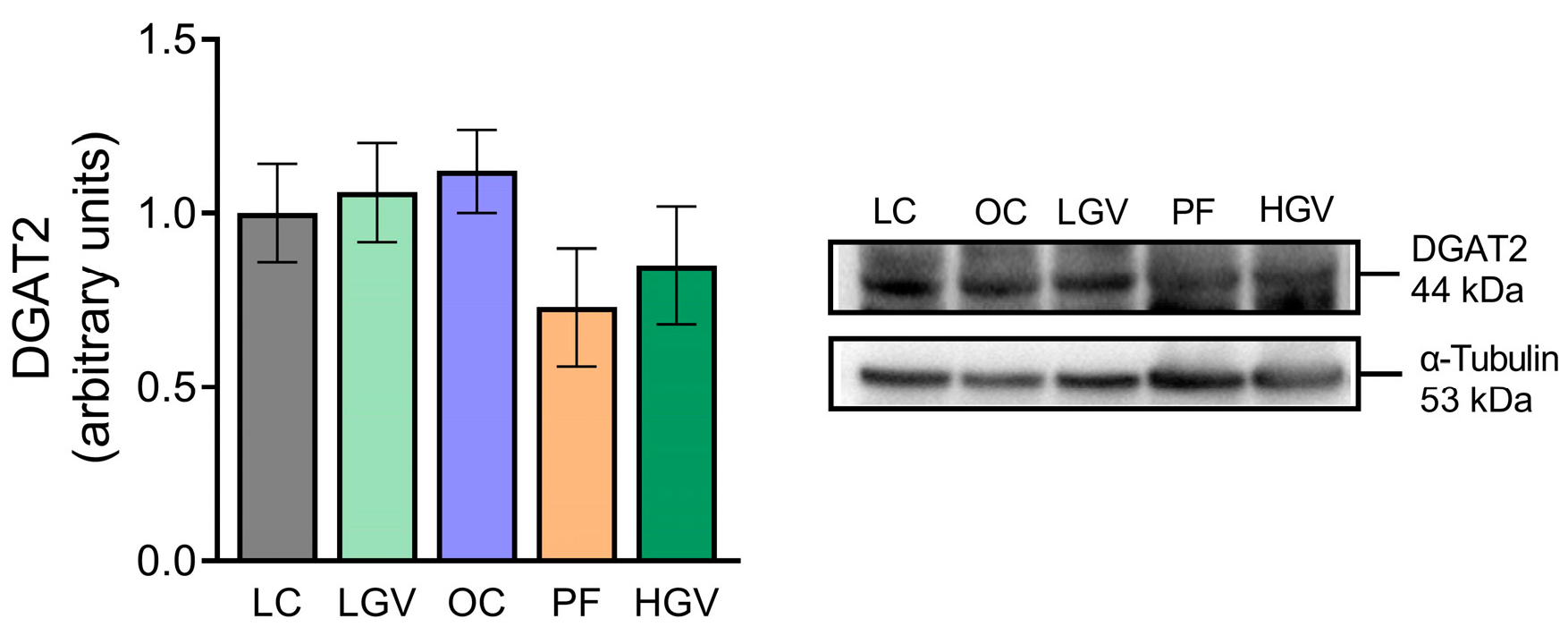 Antioxidants 13 00369 g006
