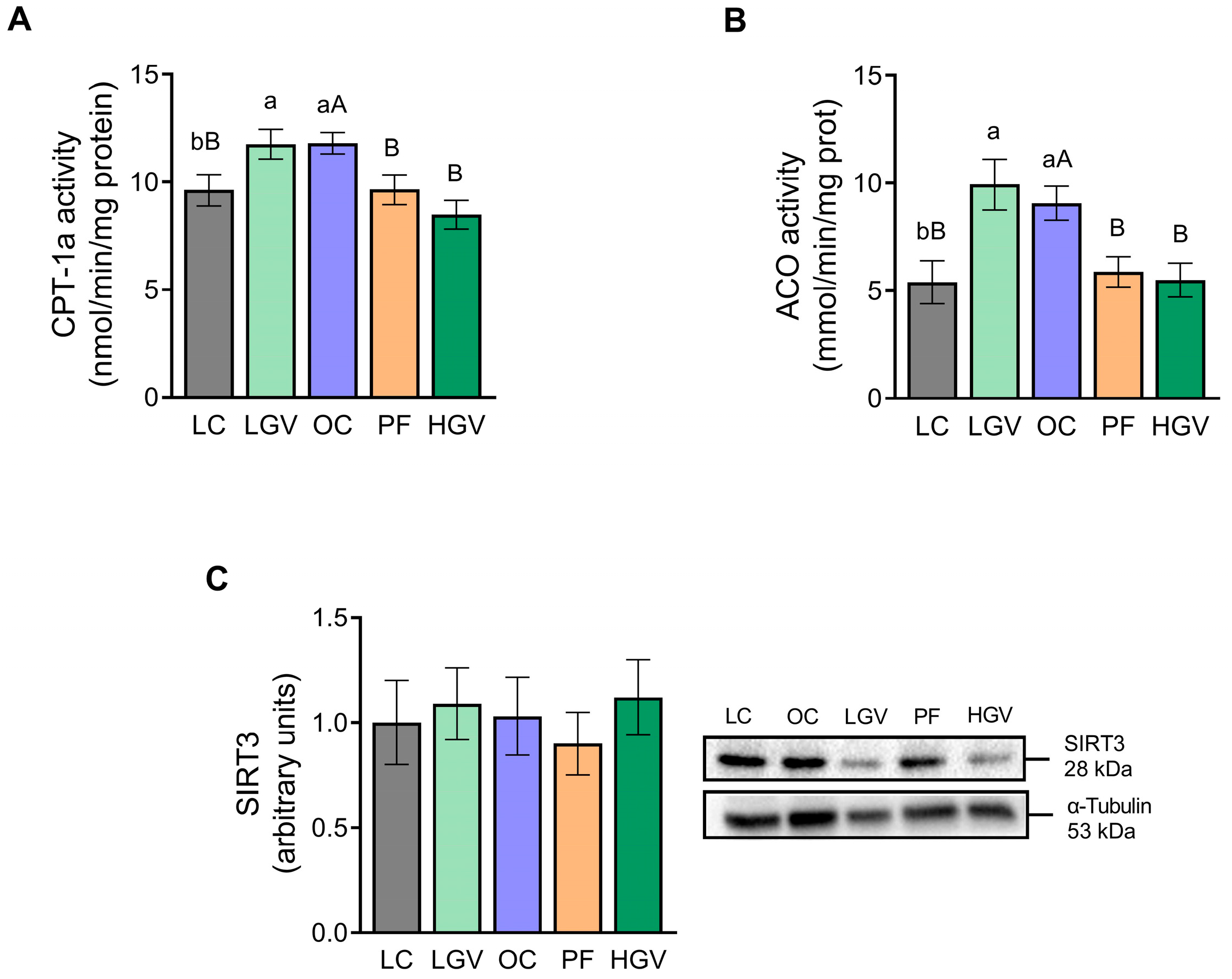 Antioxidants 13 00369 g007