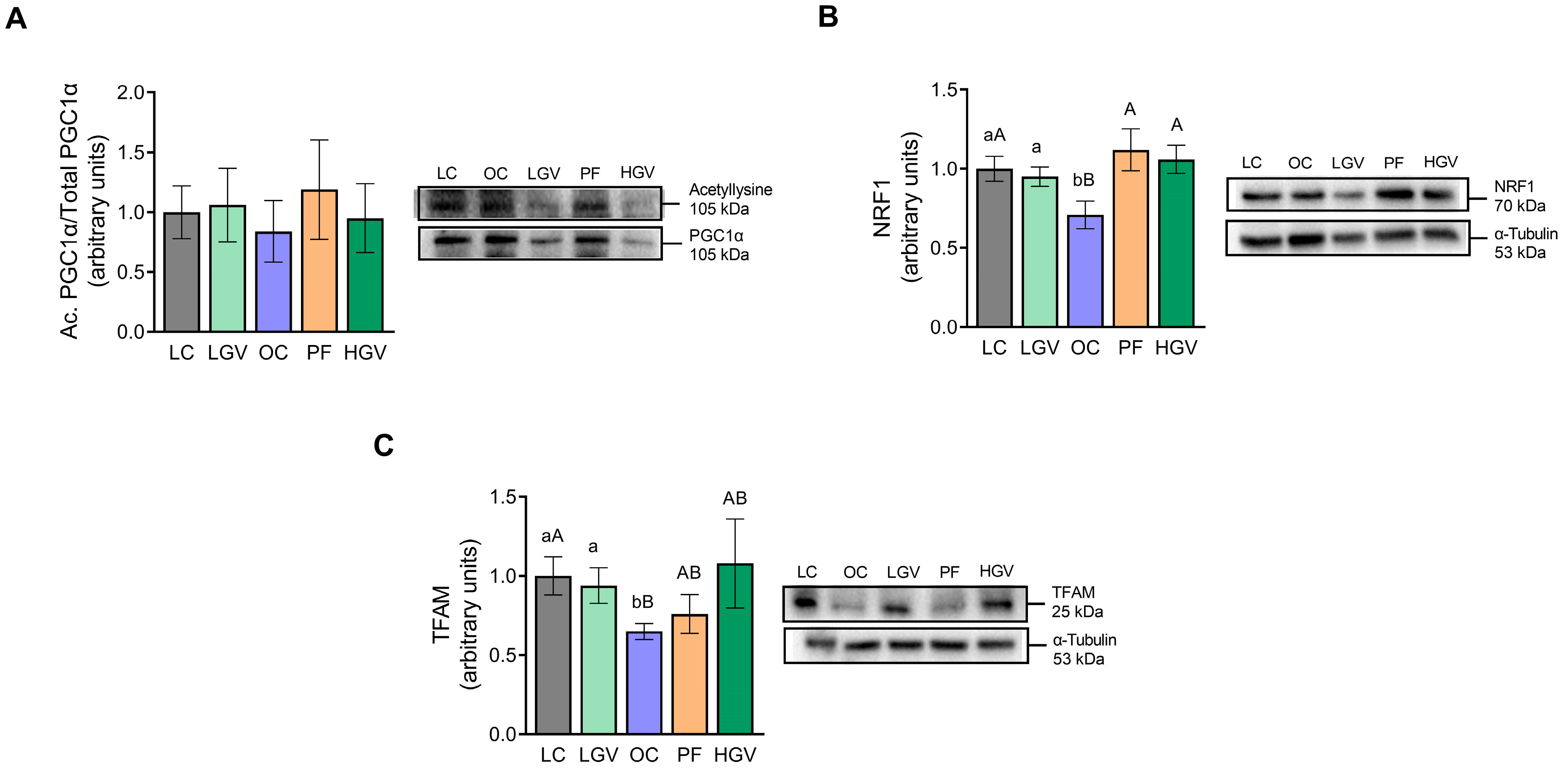 Antioxidants 13 00369 g008