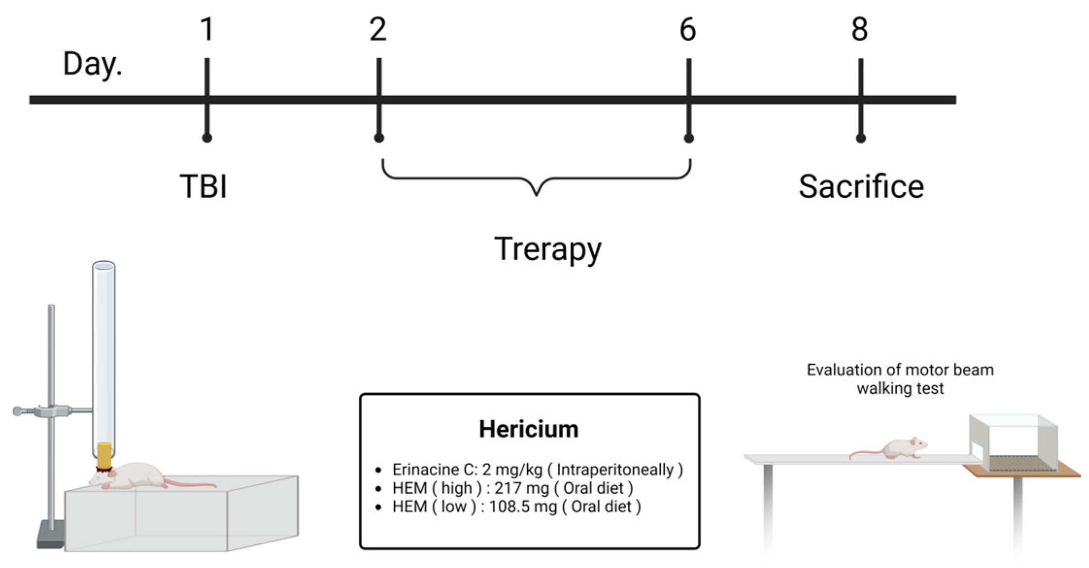 Antioxidants 13 00371 g002
