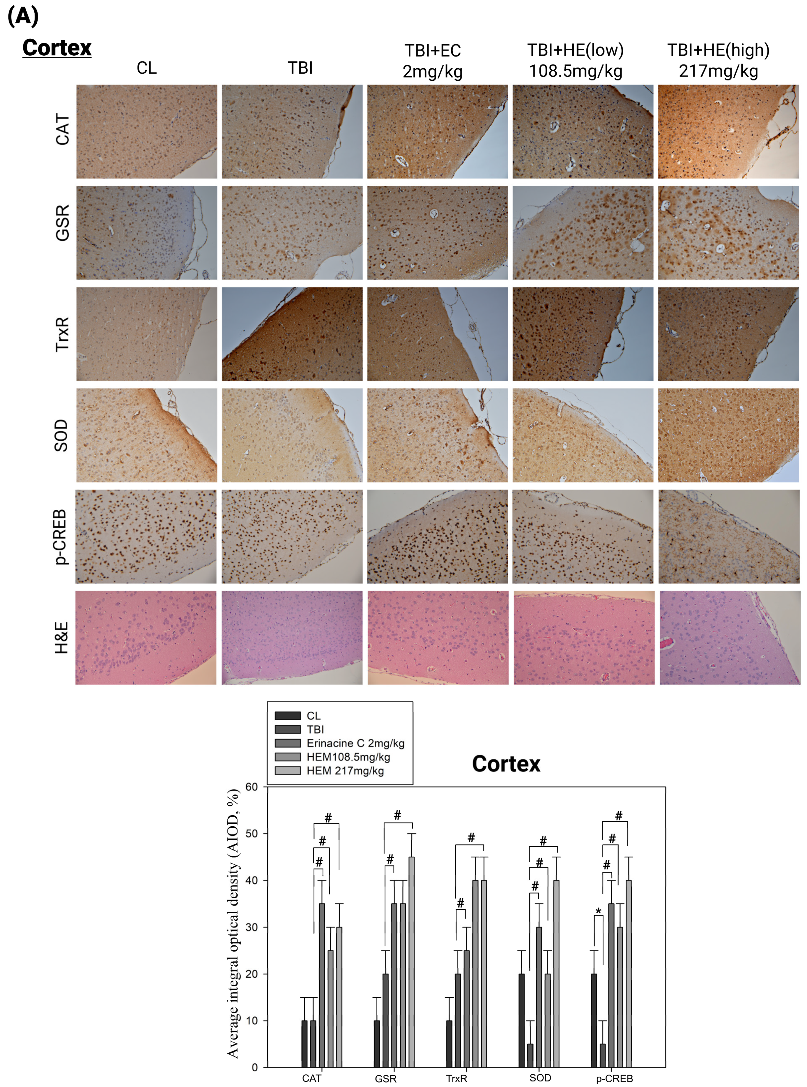Antioxidants 13 00371 g005a