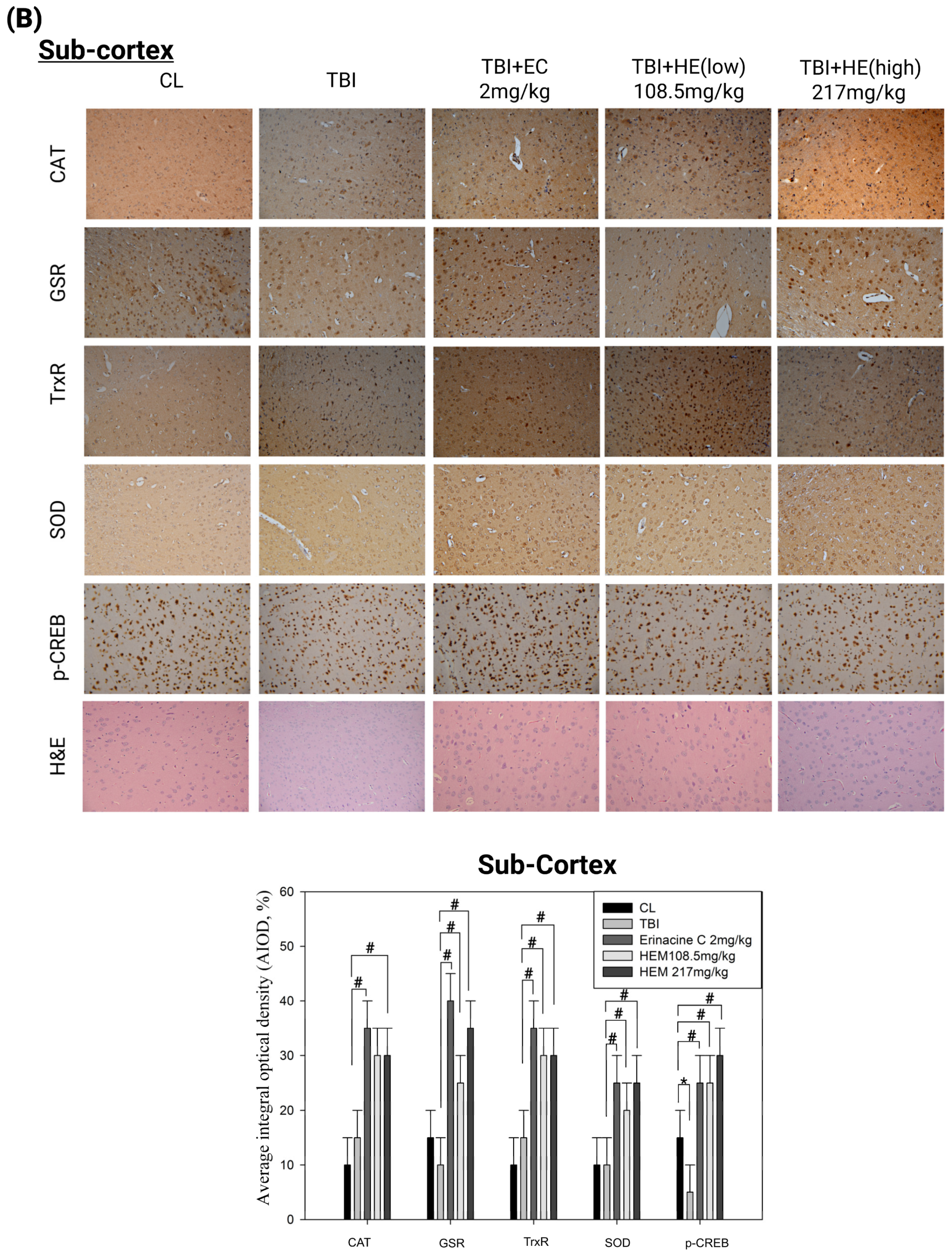 Antioxidants 13 00371 g005b