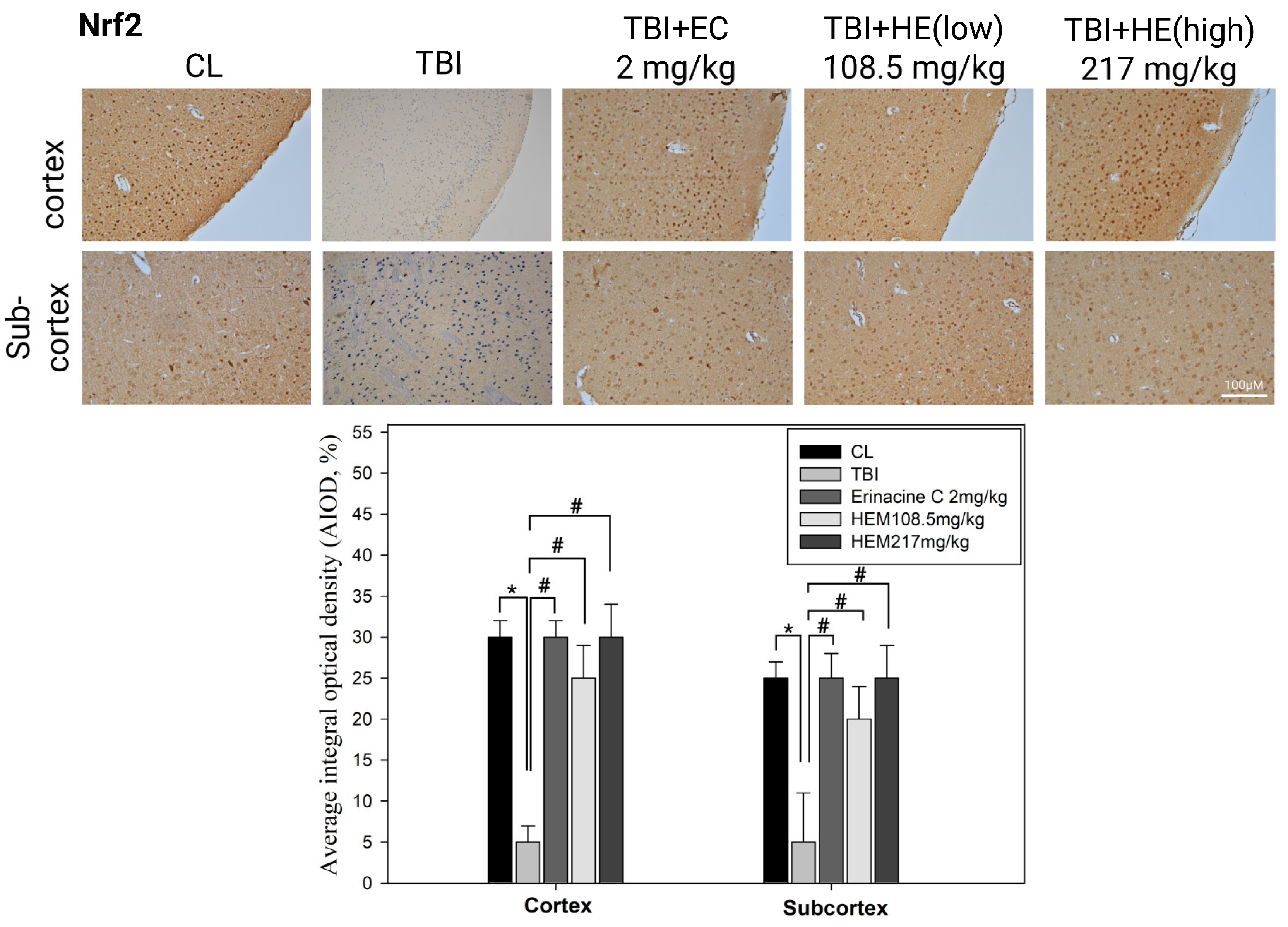 Antioxidants 13 00371 g006