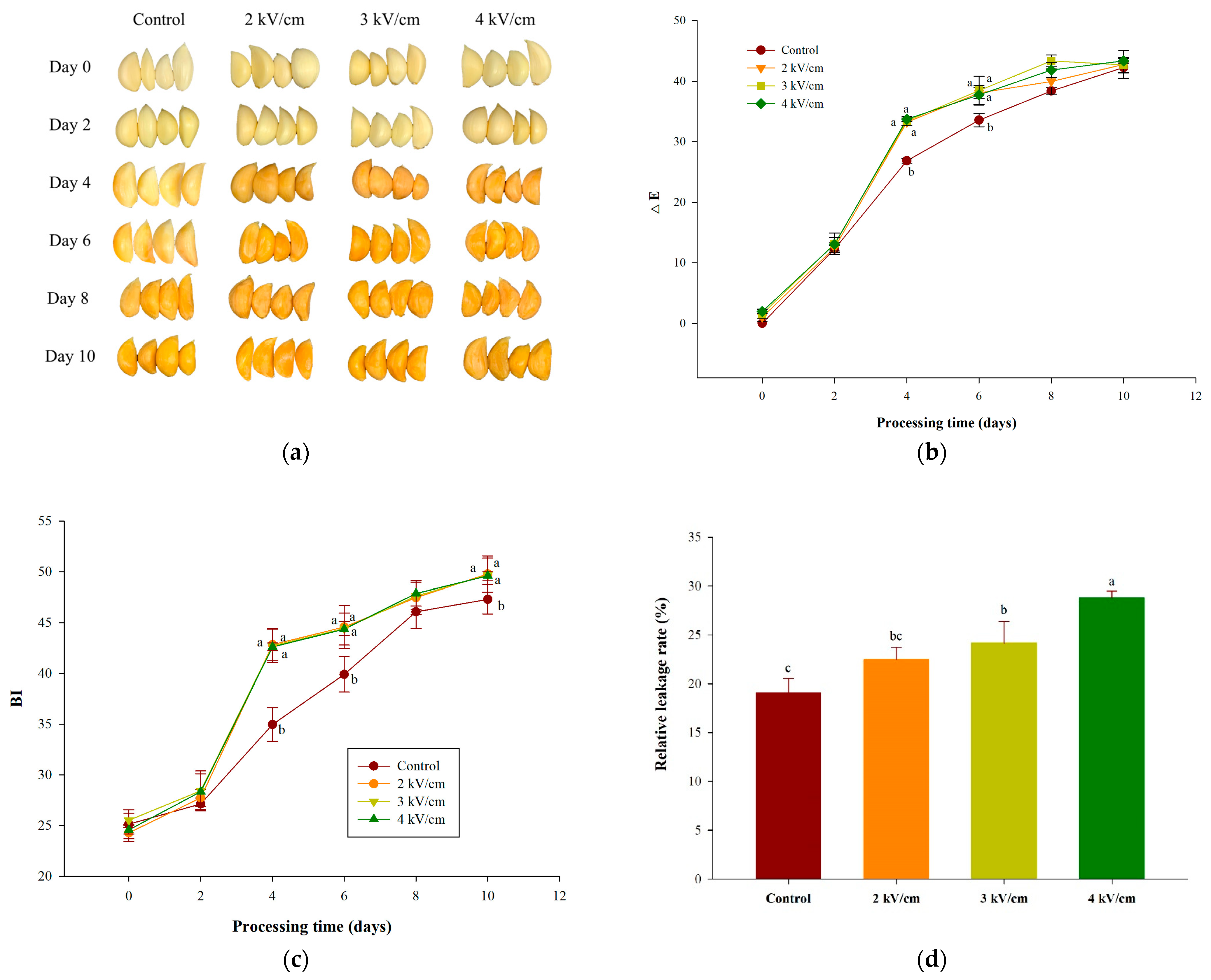 Antioxidants 13 00374 g001