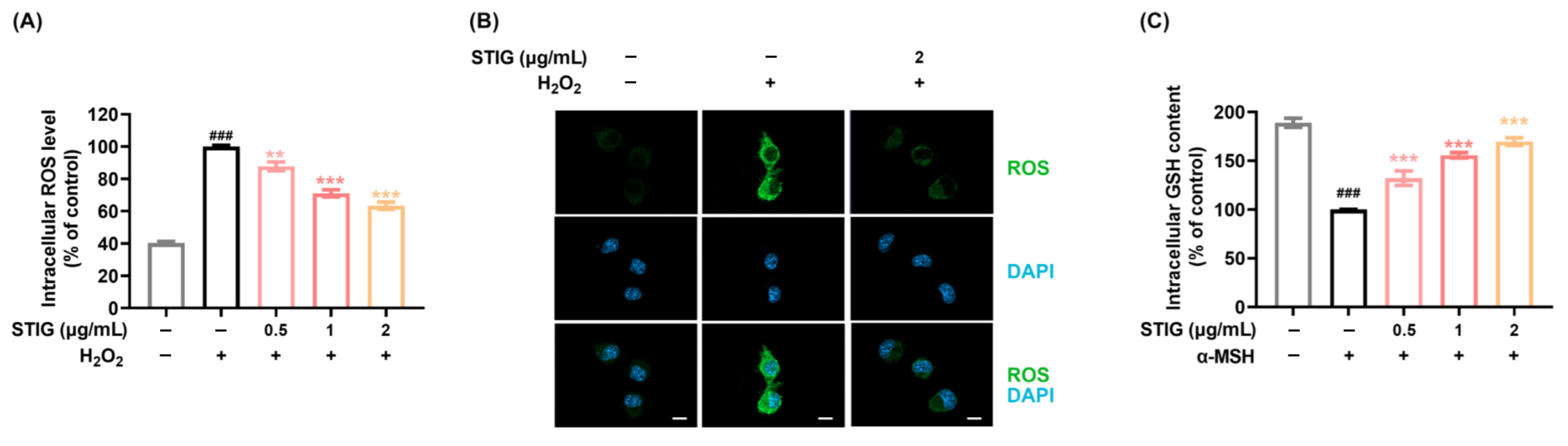 Antioxidants 13 00380 g001 Antioxidants 13 00380 g001