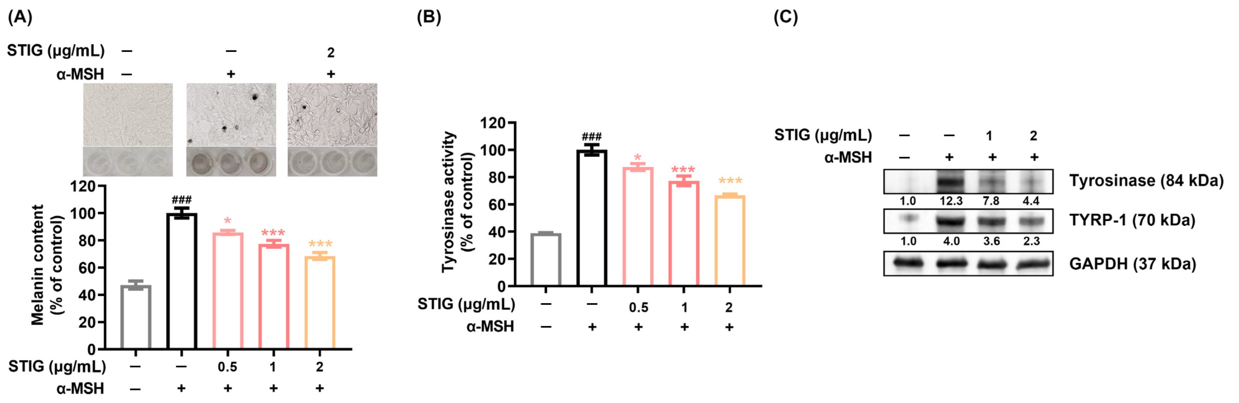 Antioxidants 13 00380 g002 Antioxidants 13 00380 g002