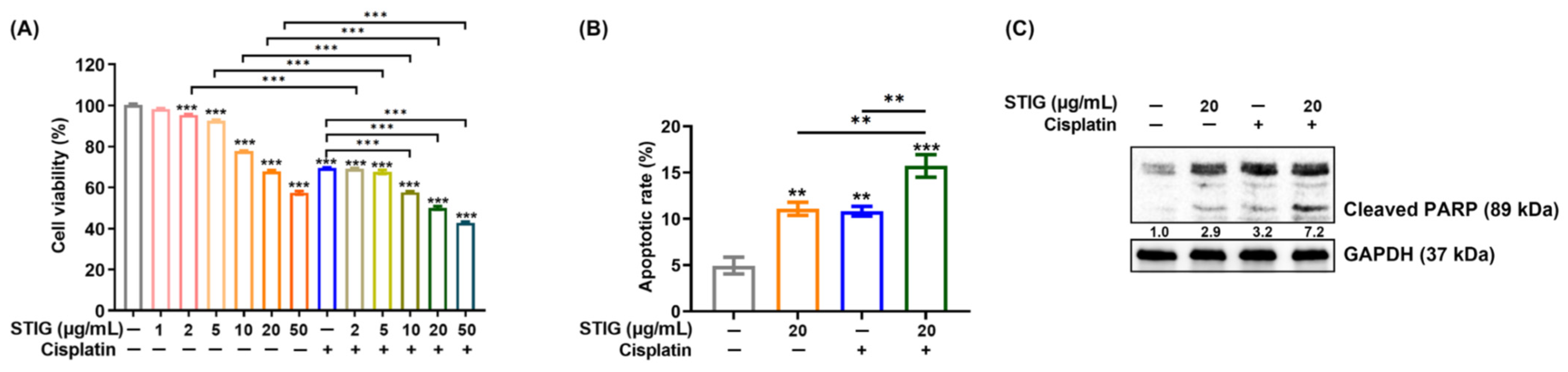 Antioxidants 13 00380 g004 Antioxidants 13 00380 g004