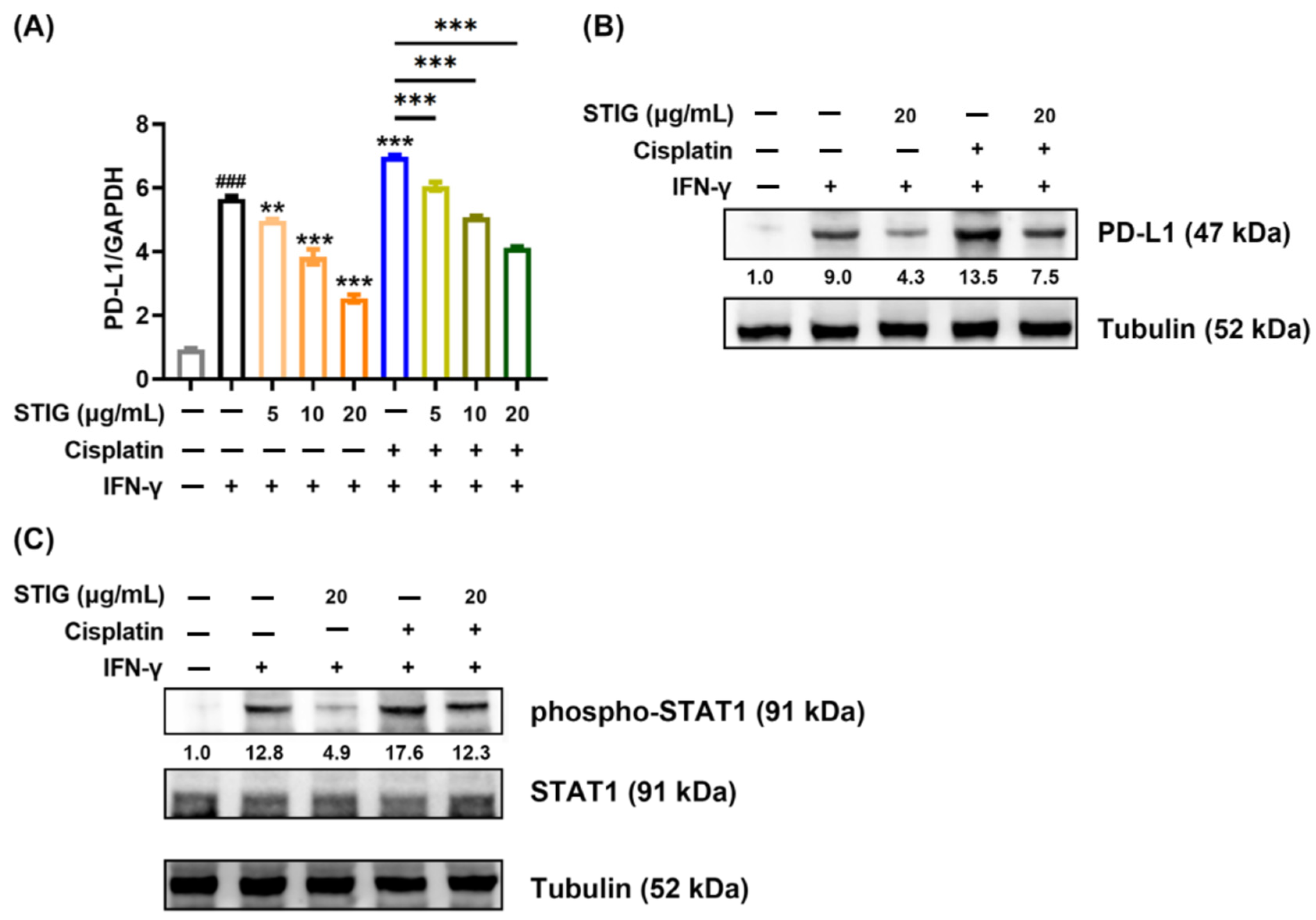 Antioxidants 13 00380 g006 Antioxidants 13 00380 g006