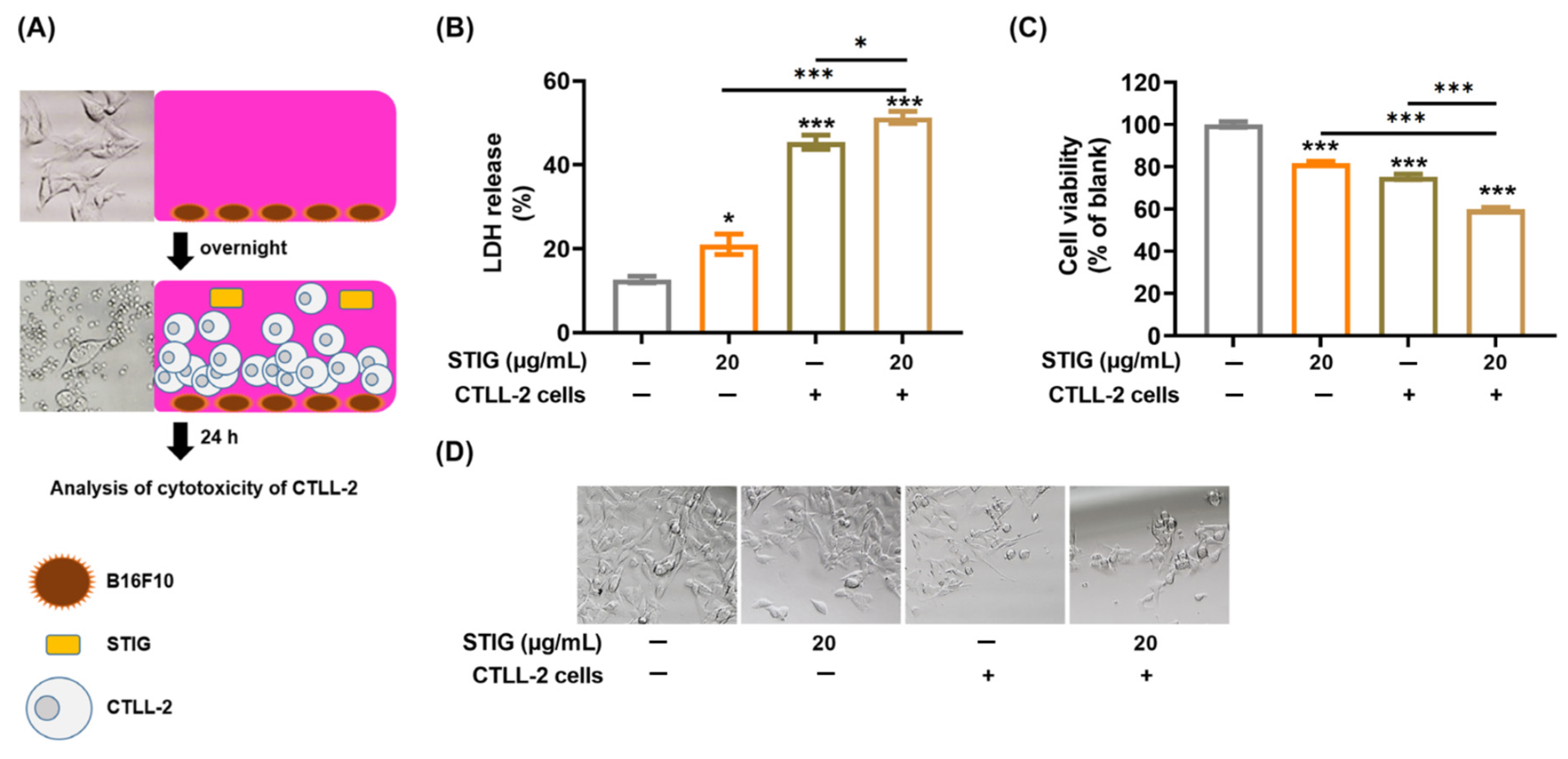 Antioxidants 13 00380 g007 Antioxidants 13 00380 g007