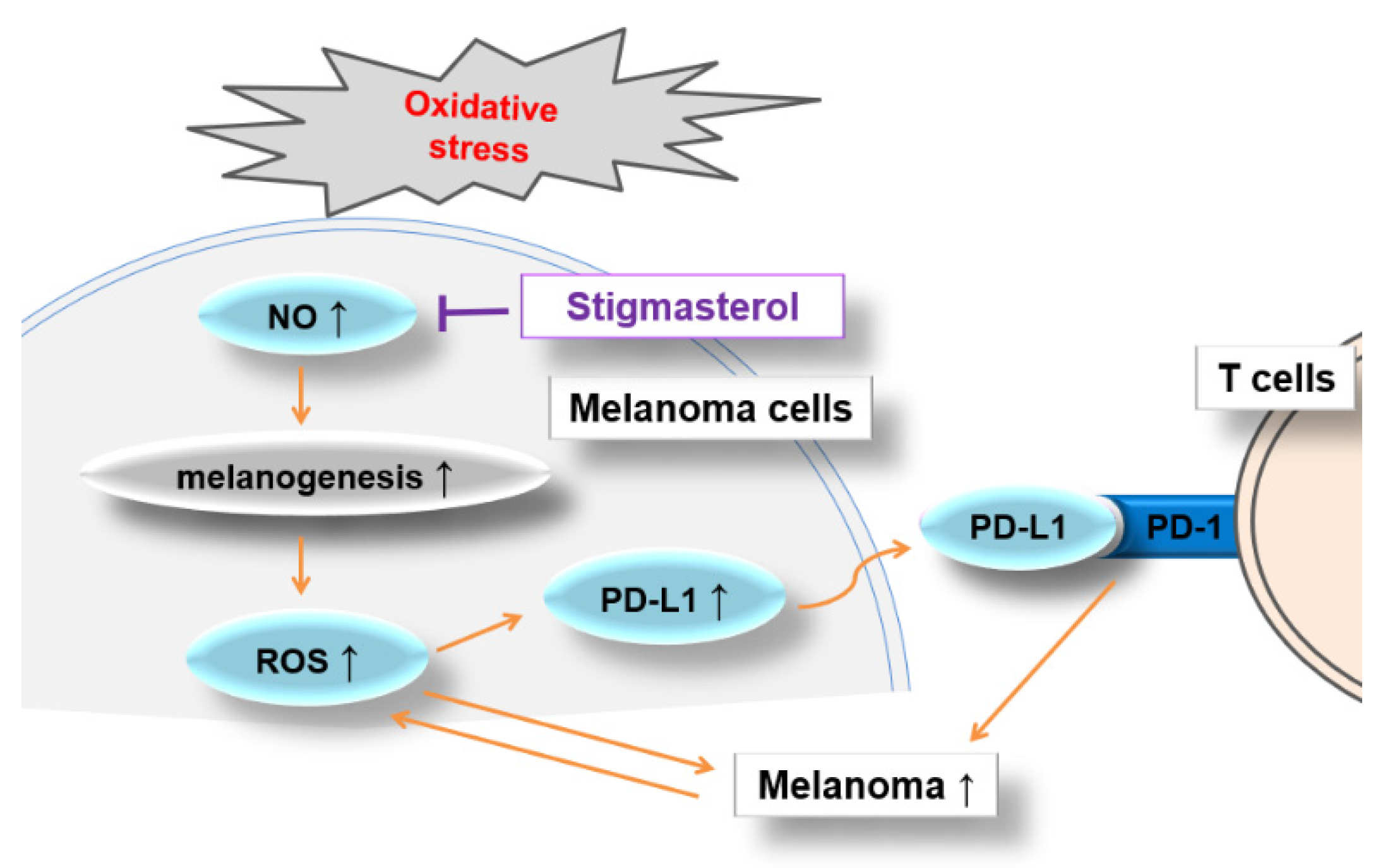 Antioxidants 13 00380 g008 Antioxidants 13 00380 g008