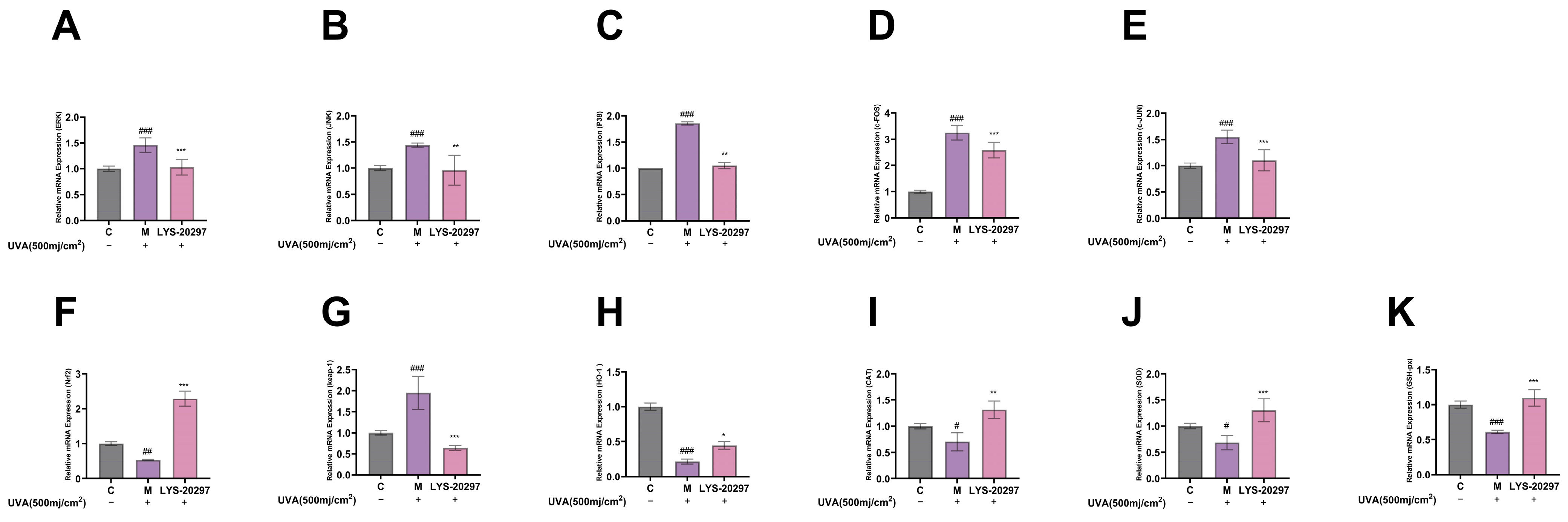 Antioxidants 13 00382 g007