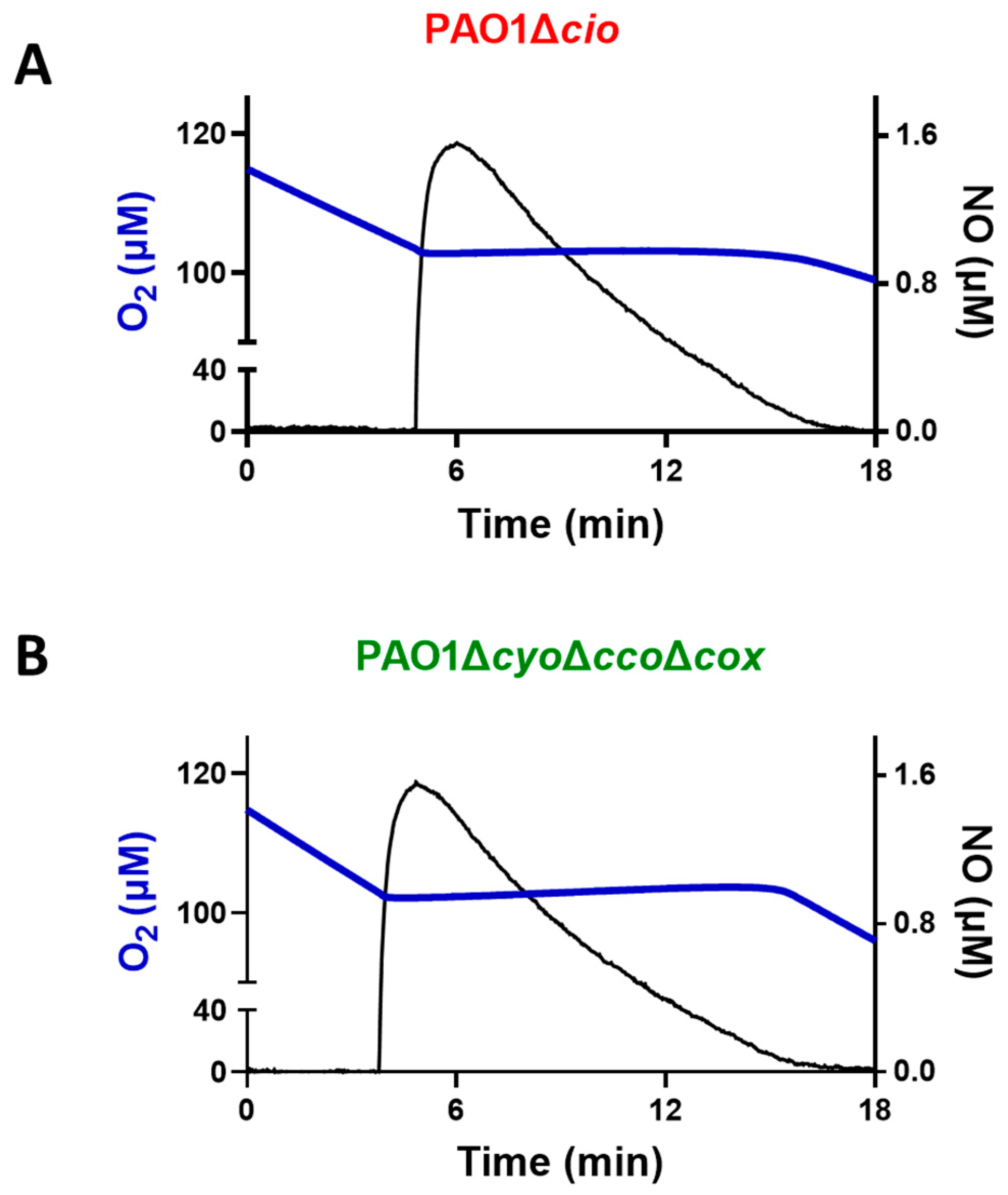 Antioxidants 13 00383 g005