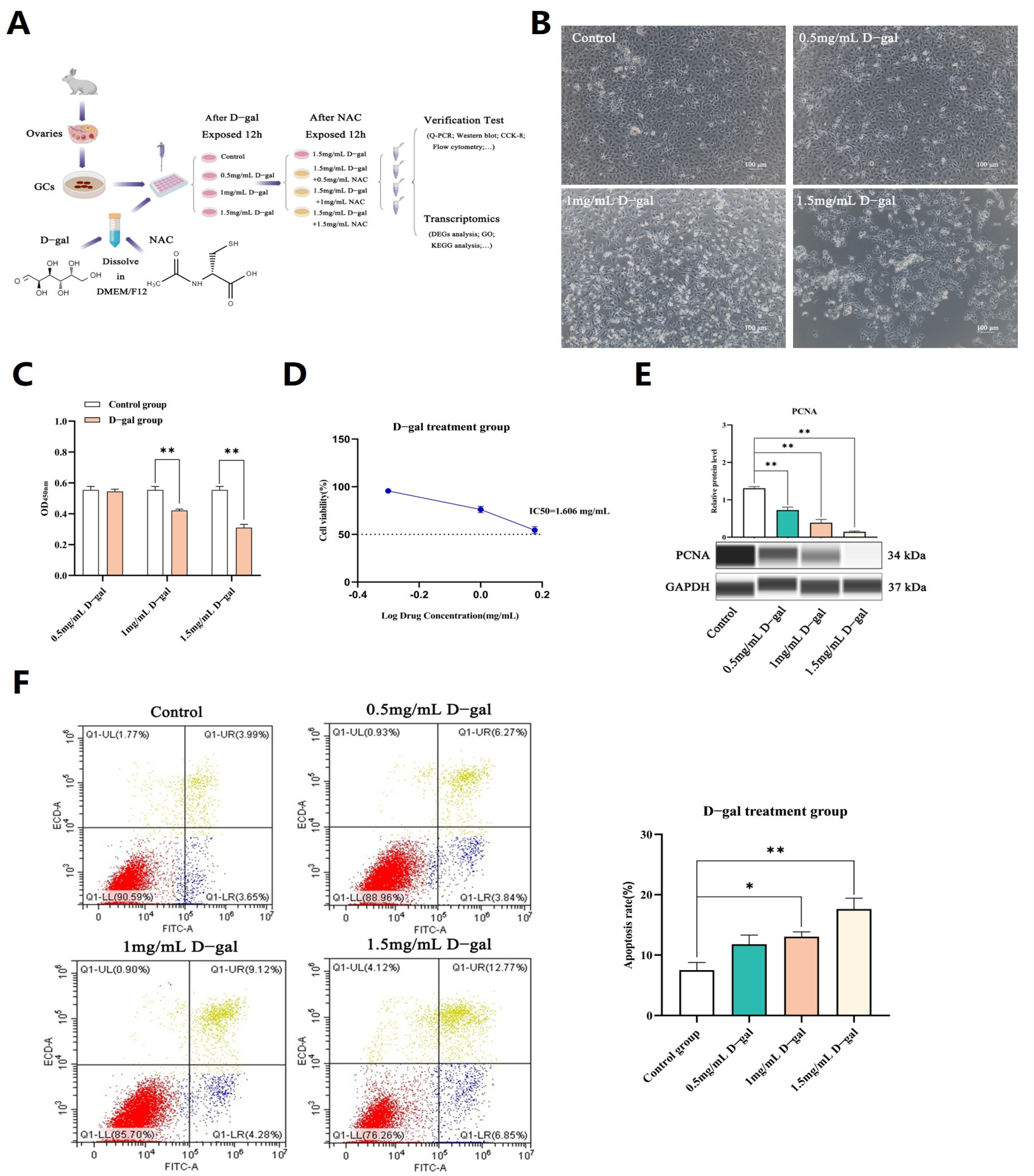 Antioxidants 13 00384 g001a Antioxidants 13 00384 g001a