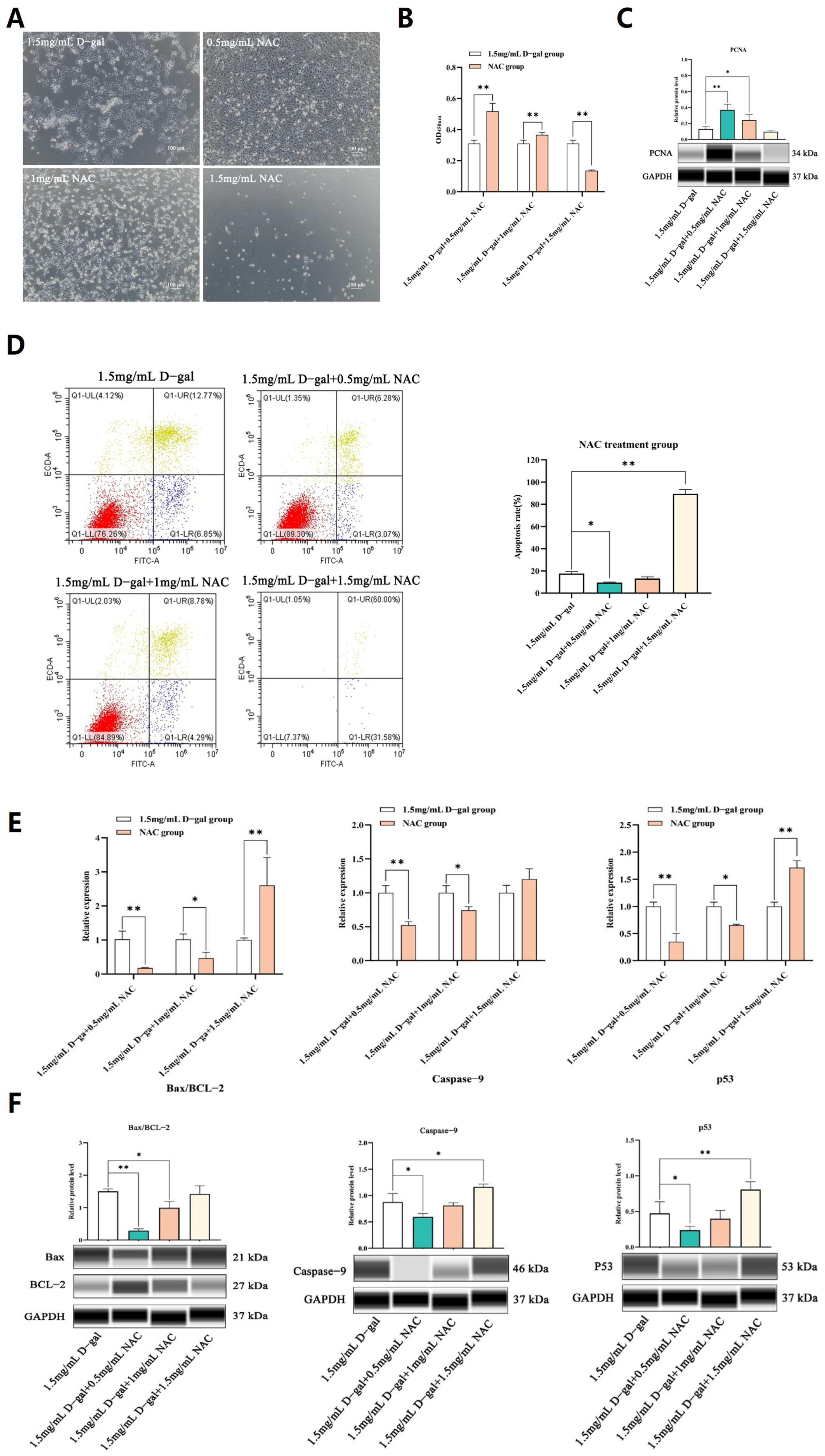 Antioxidants 13 00384 g002 Antioxidants 13 00384 g002