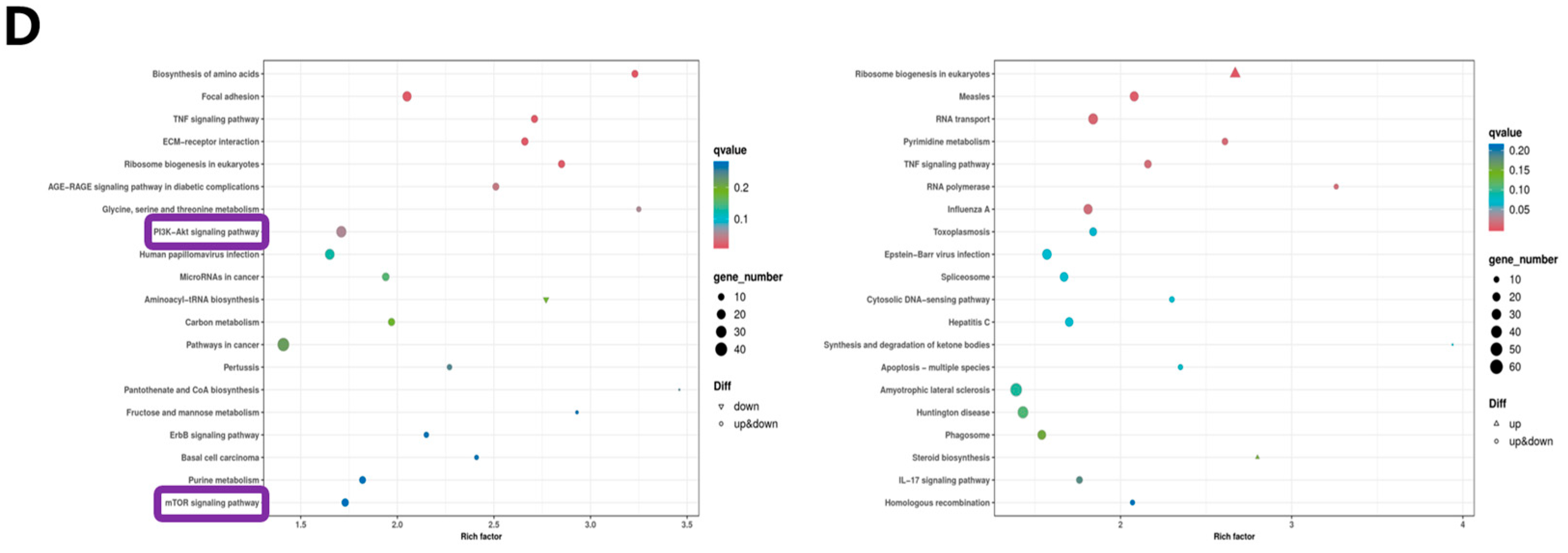 Antioxidants 13 00384 g004b Antioxidants 13 00384 g004b
