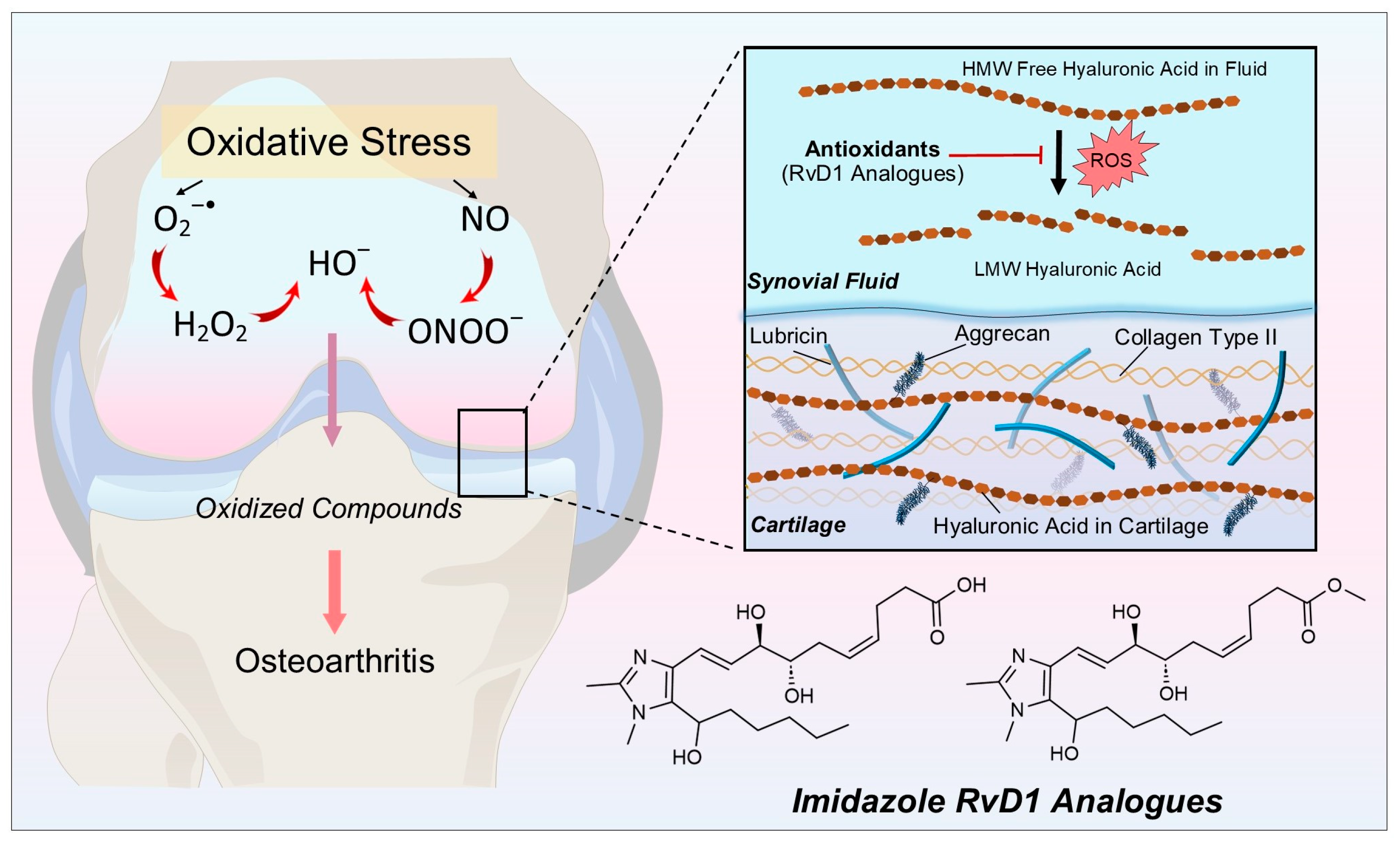 Antioxidants 13 00386 g001