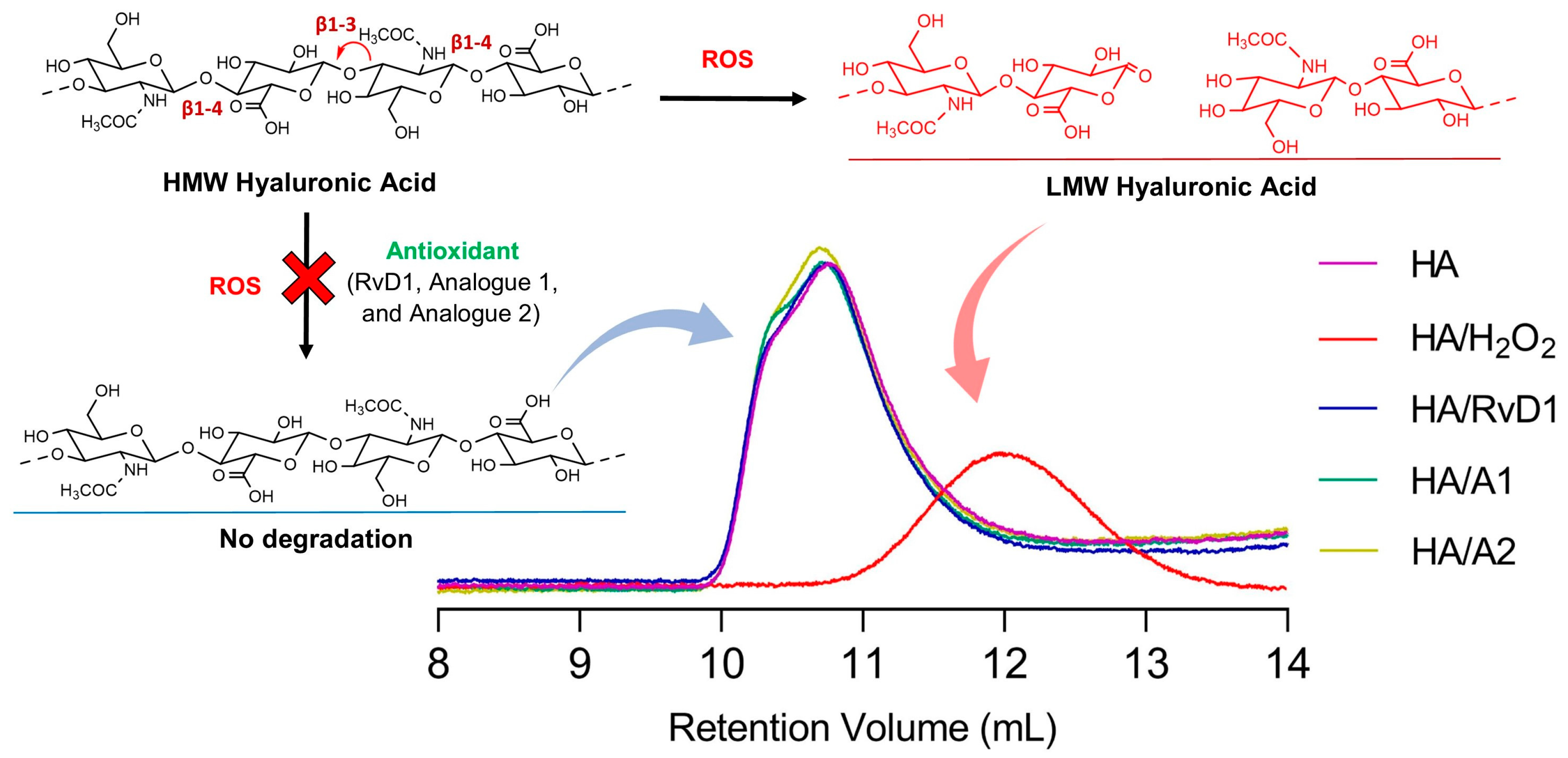 Antioxidants 13 00386 g011