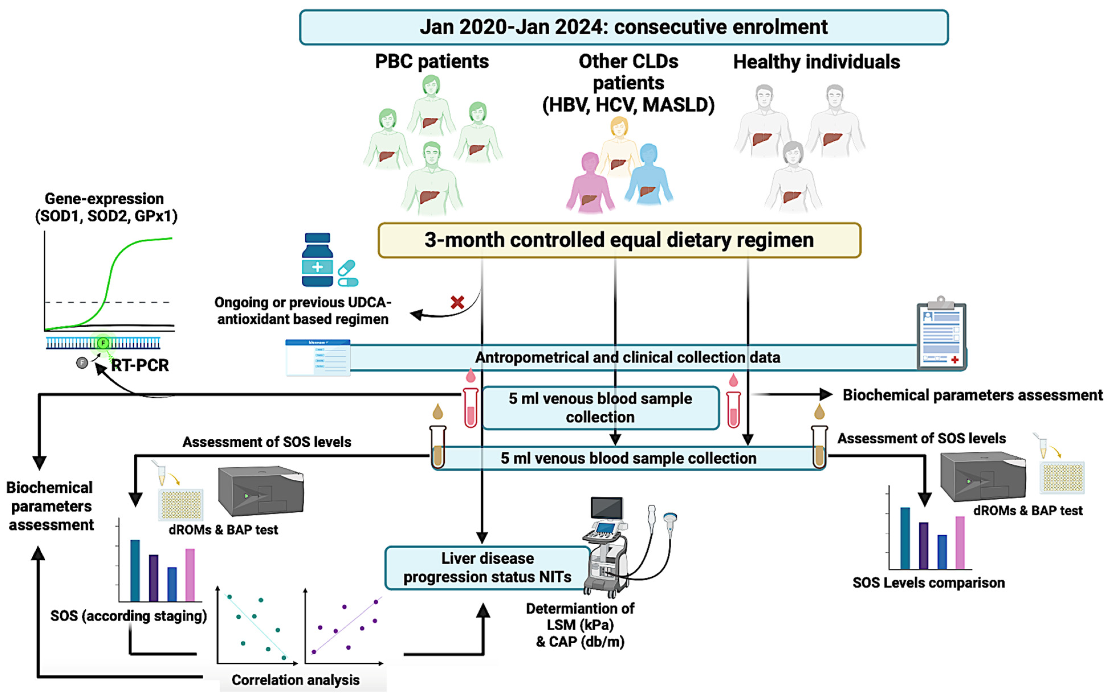 Antioxidants 13 00387 g001