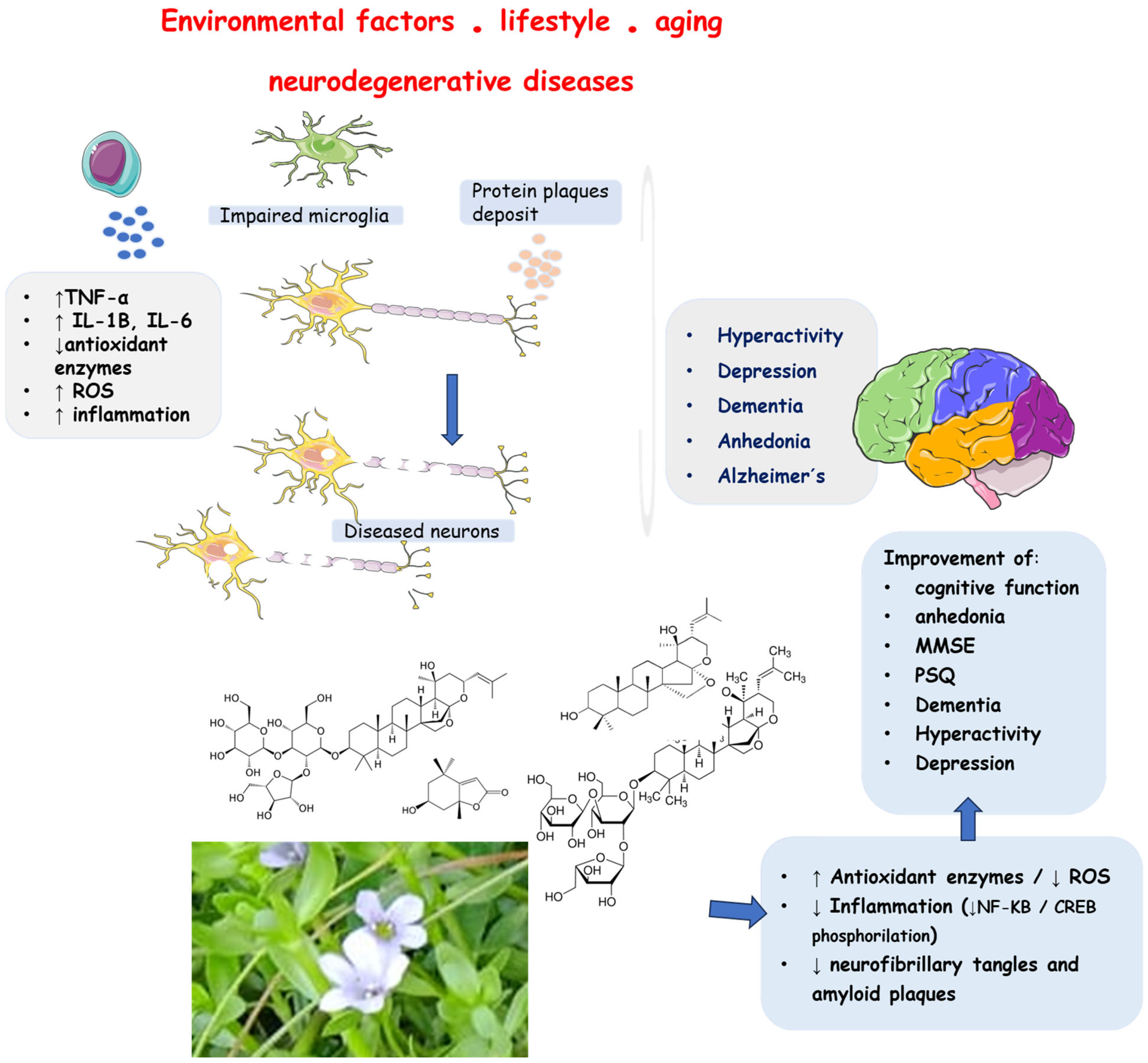 Antioxidants 13 00393 g006