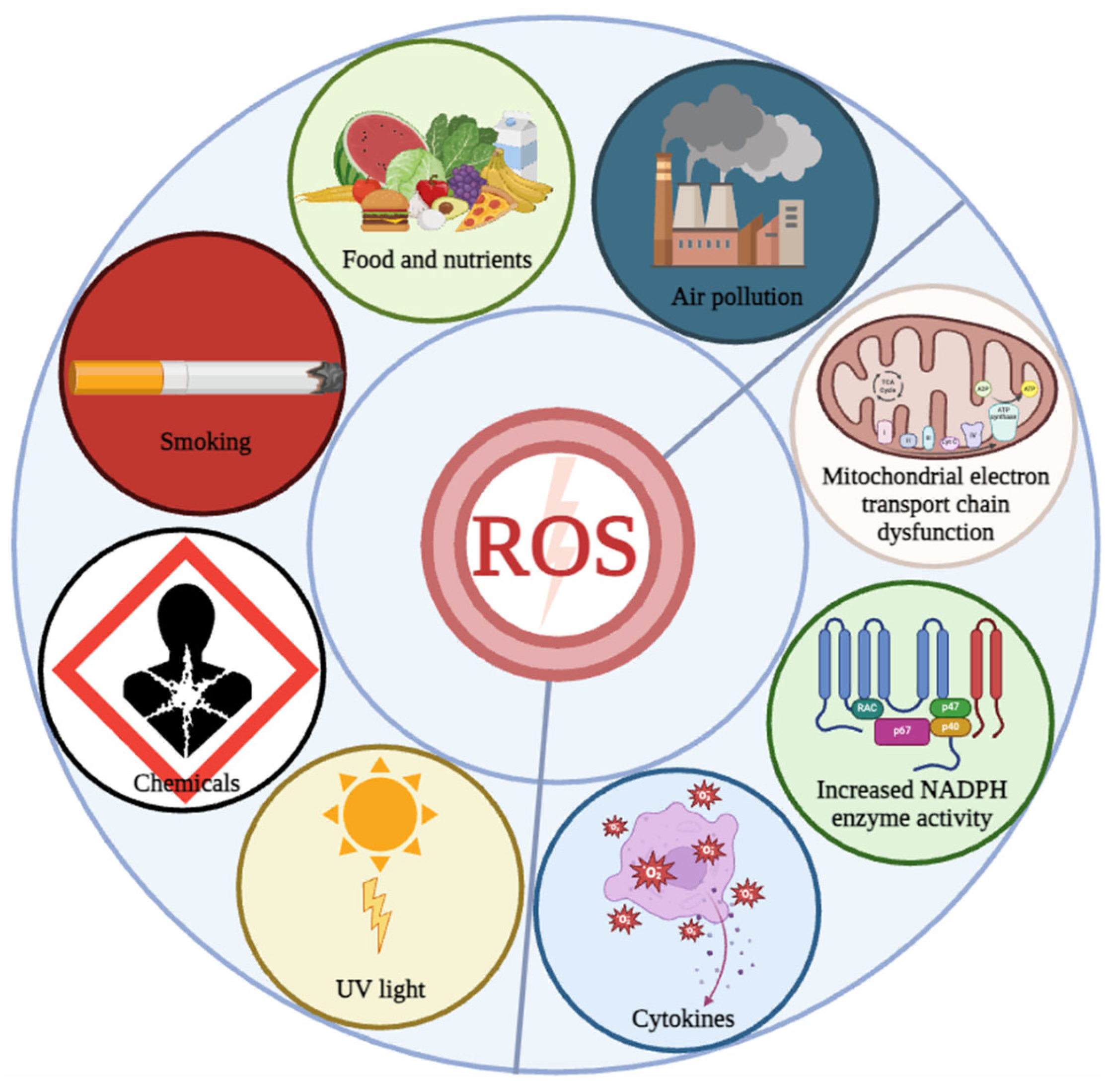 Antioxidants 13 00394 g001