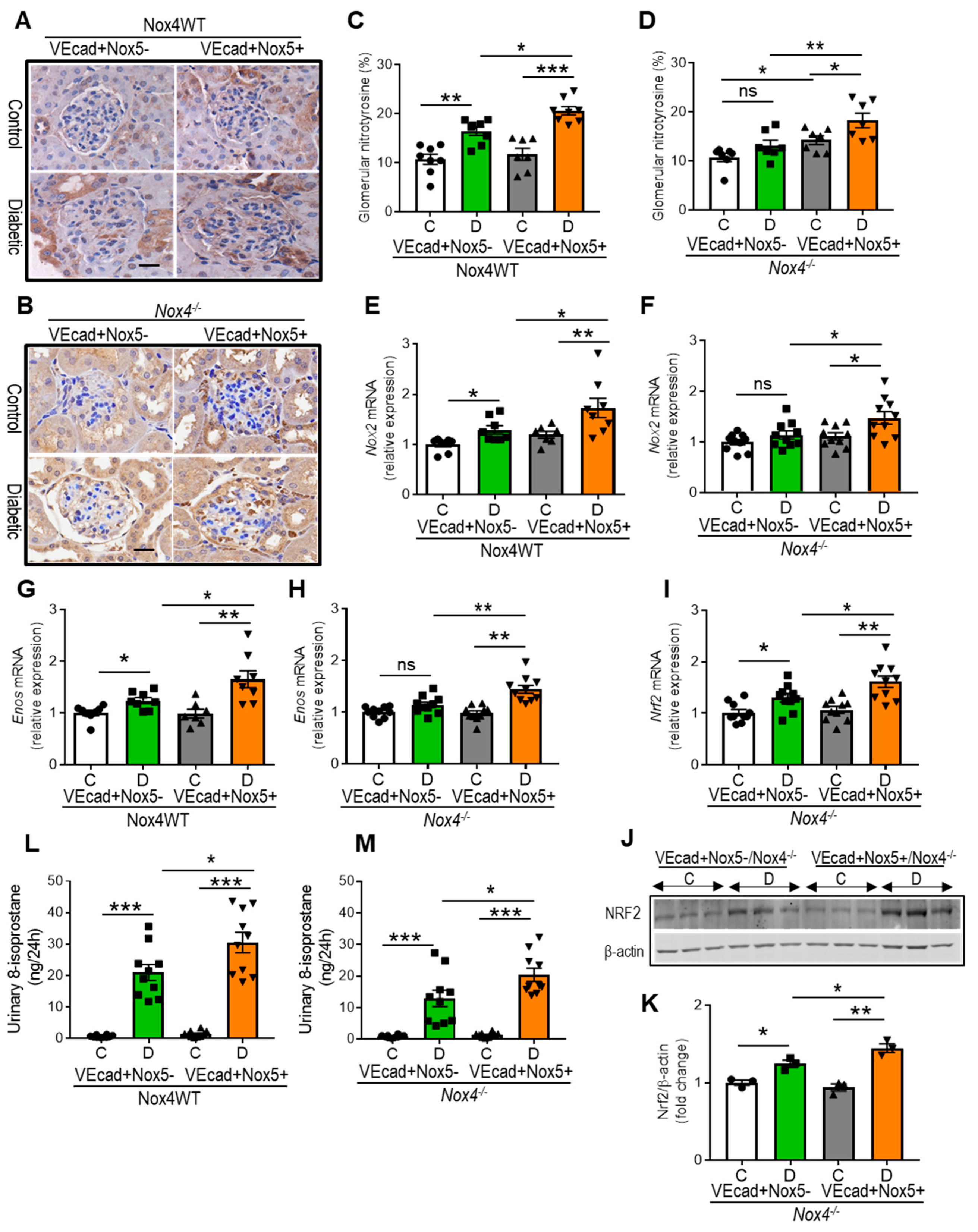 Antioxidants 13 00396 g002