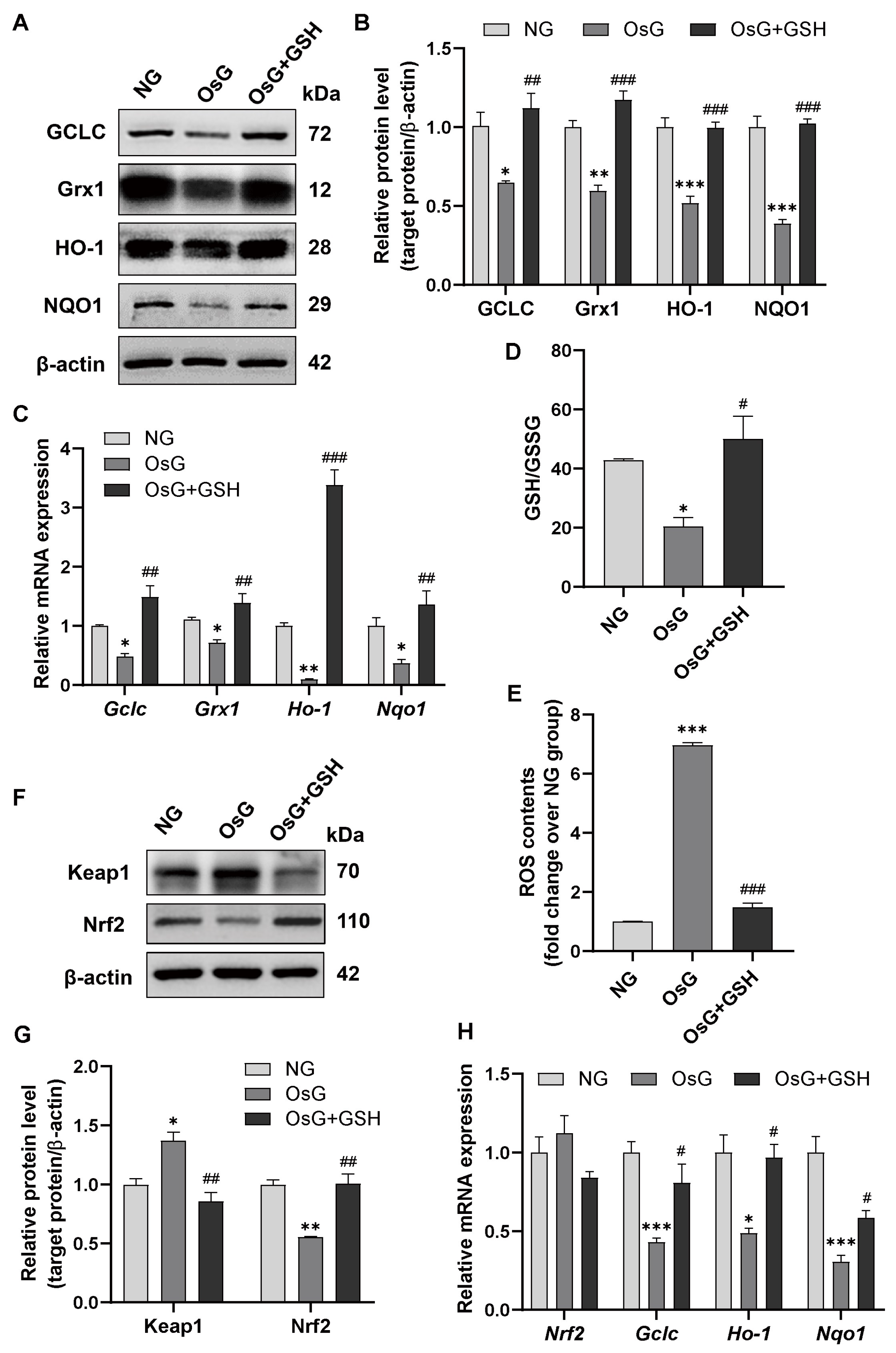 Antioxidants 13 00400 g004