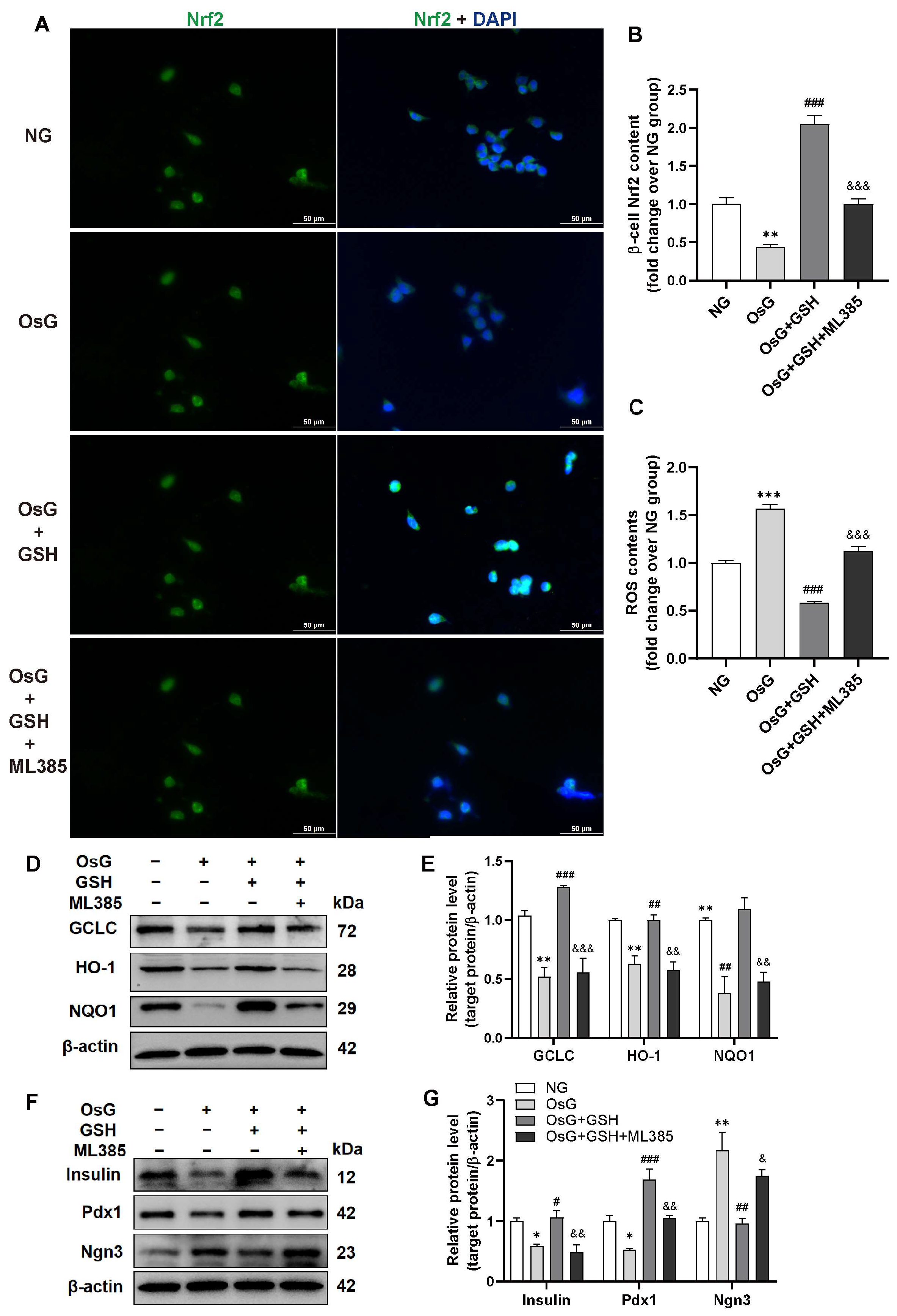 Antioxidants 13 00400 g005