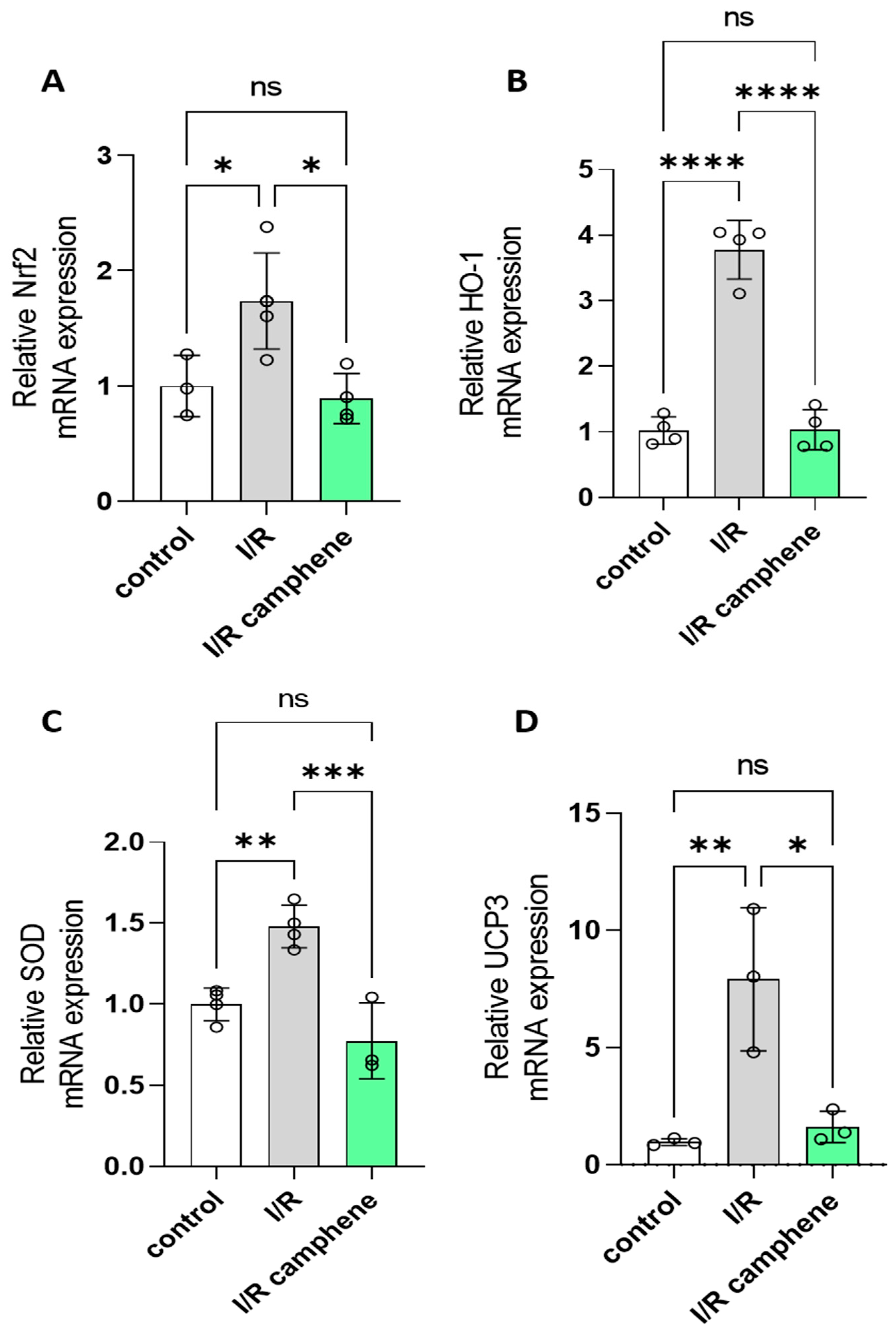 Antioxidants 13 00405 g004