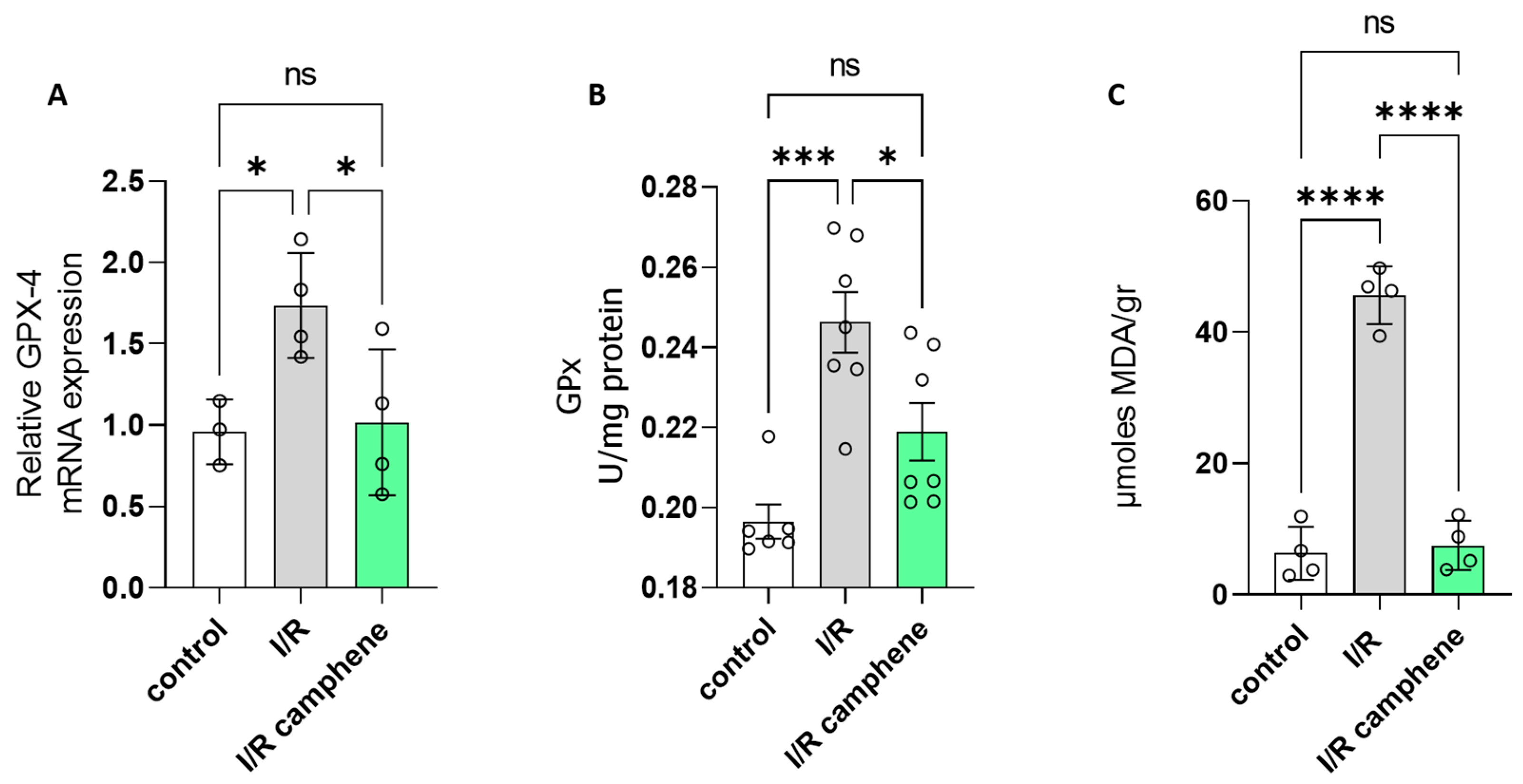 Antioxidants 13 00405 g005