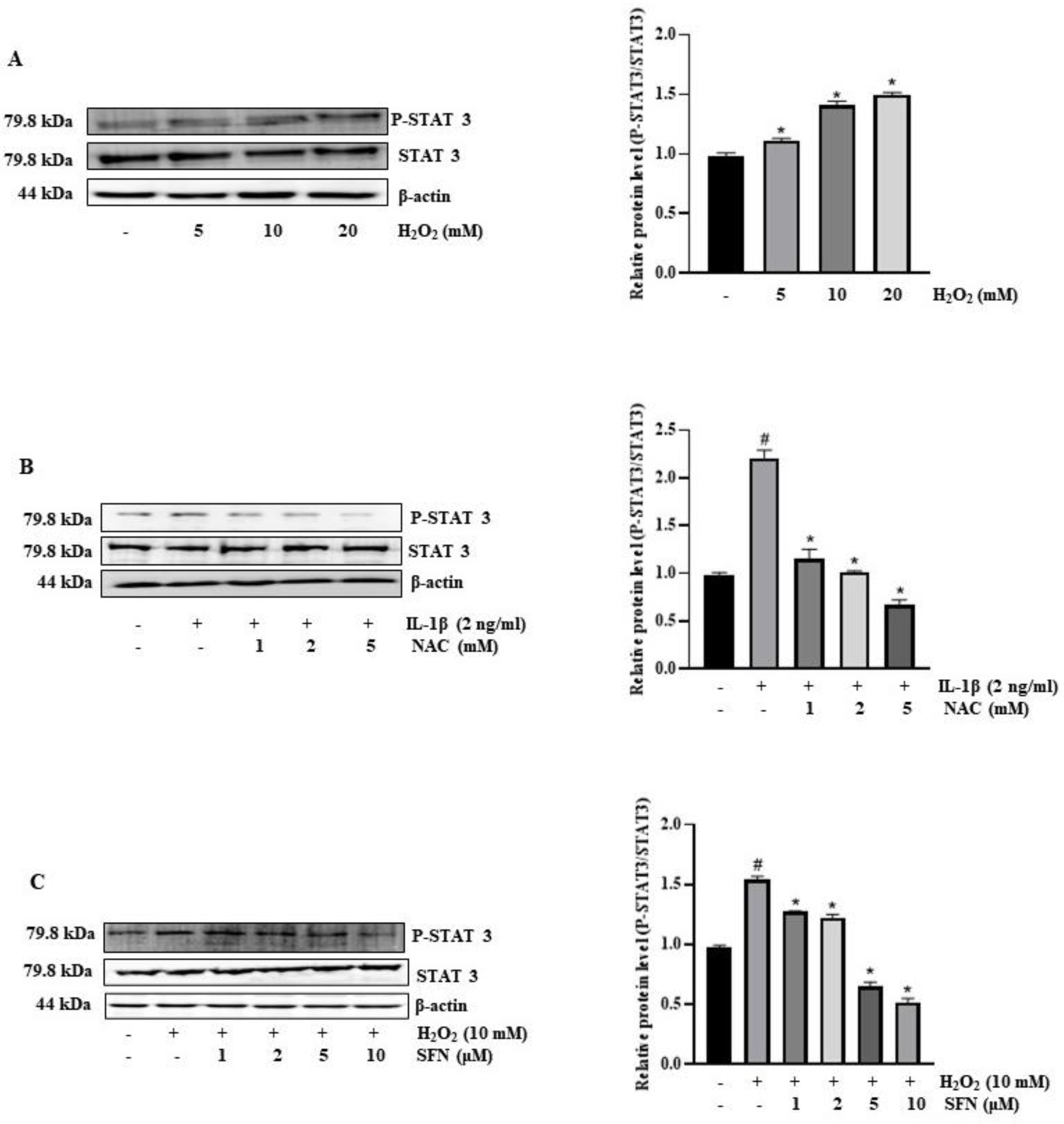 Antioxidants 13 00406 g007 Antioxidants 13 00406 g007