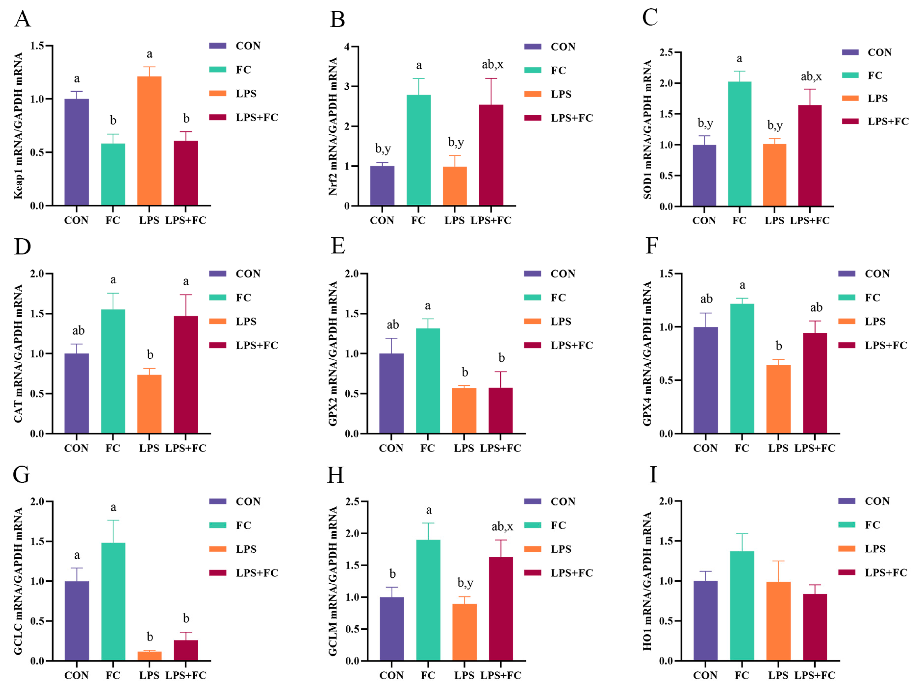 Antioxidants 13 00407 g005