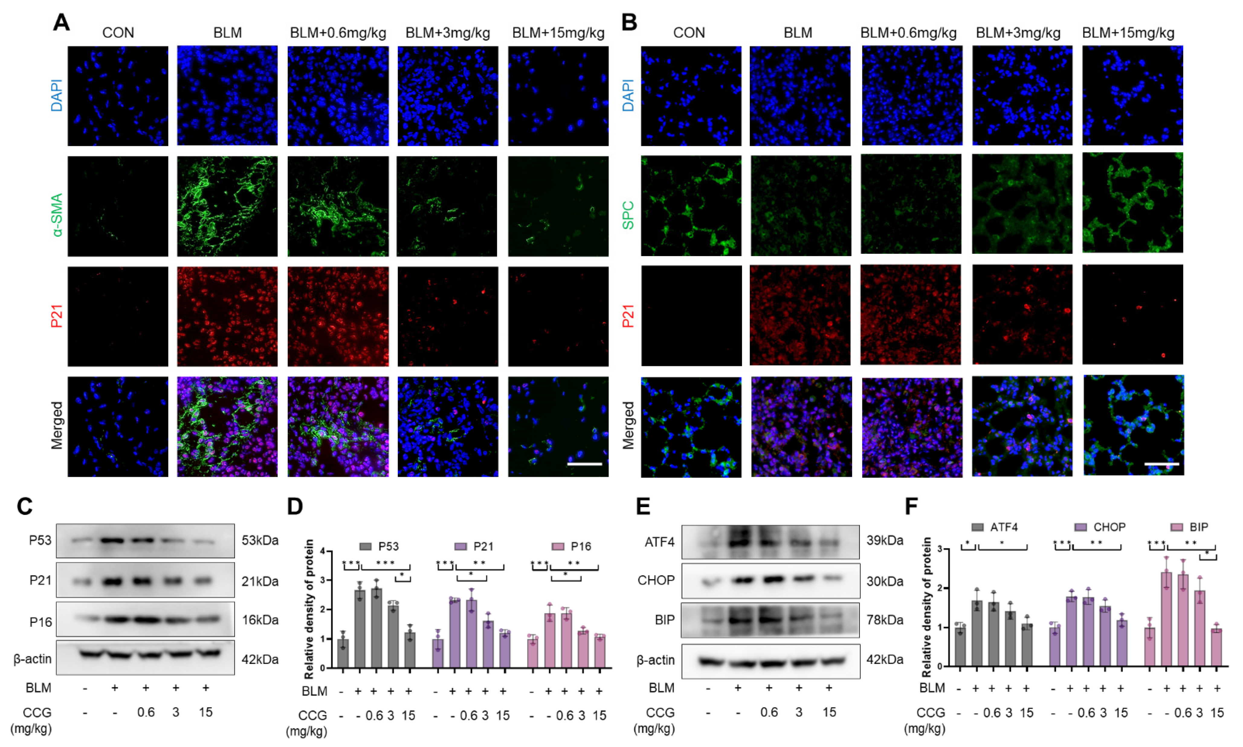 Antioxidants 13 00420 g002