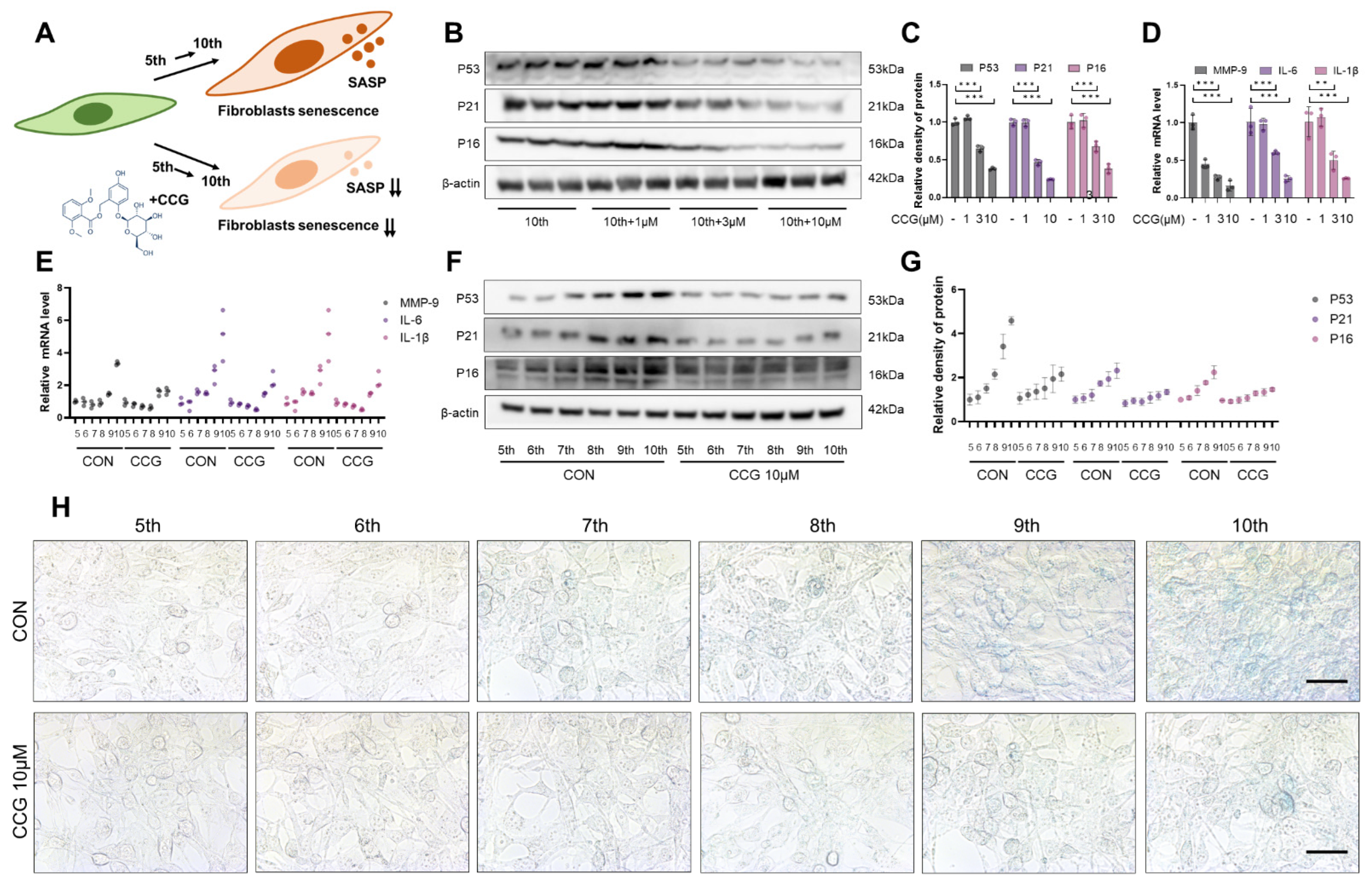 Antioxidants 13 00420 g004