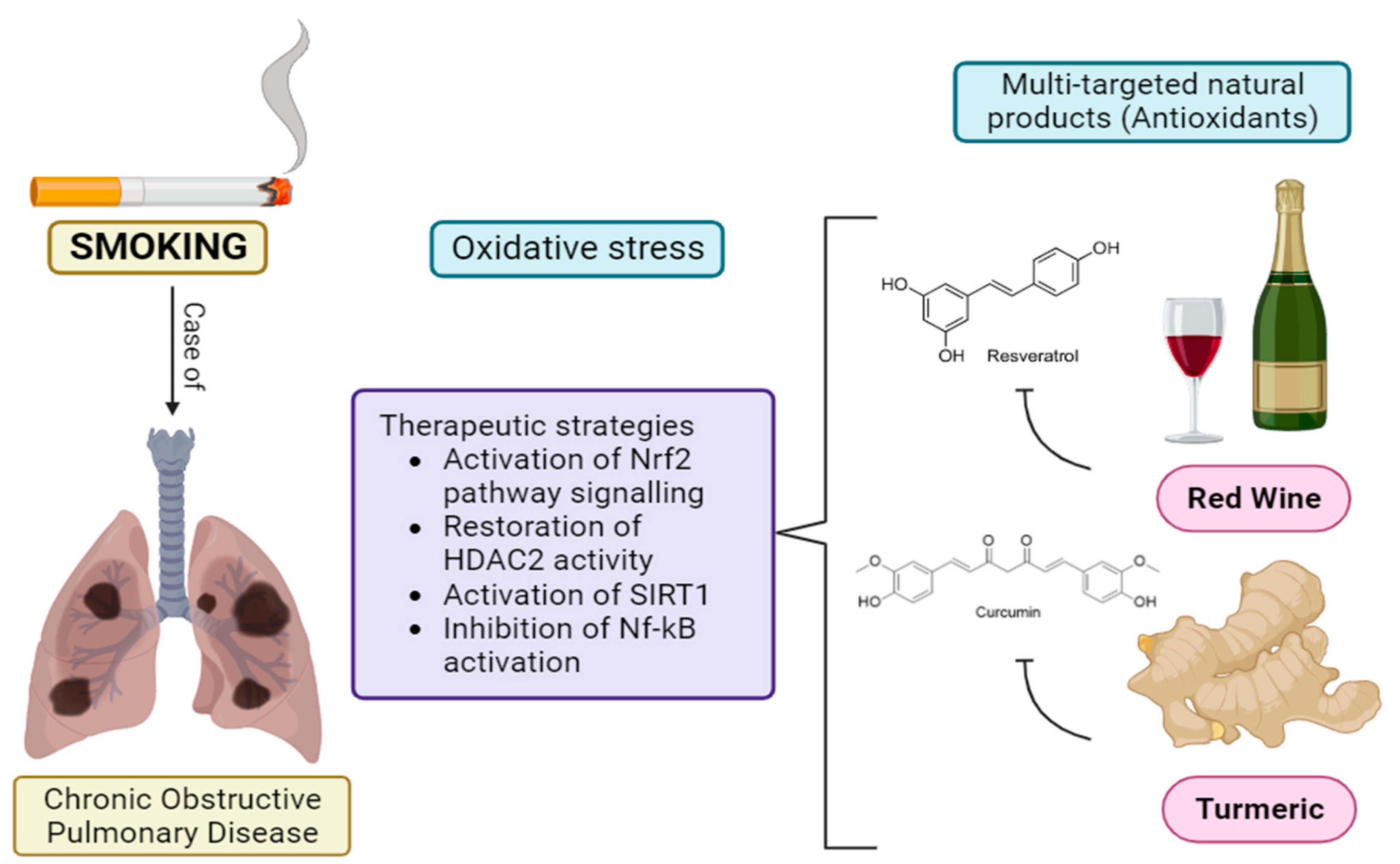 Antioxidants 13 00429 g007