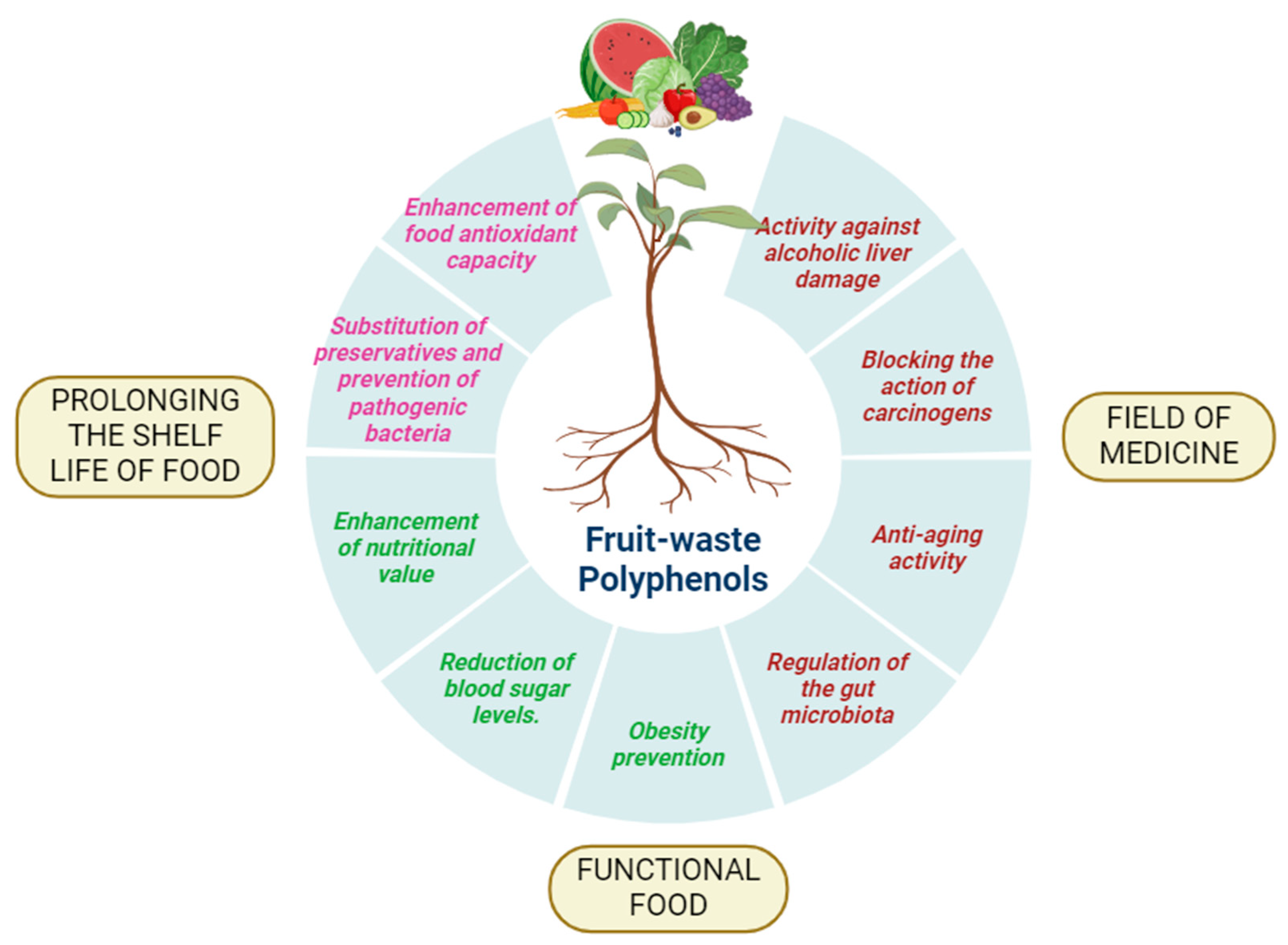 Antioxidants 13 00429 g008