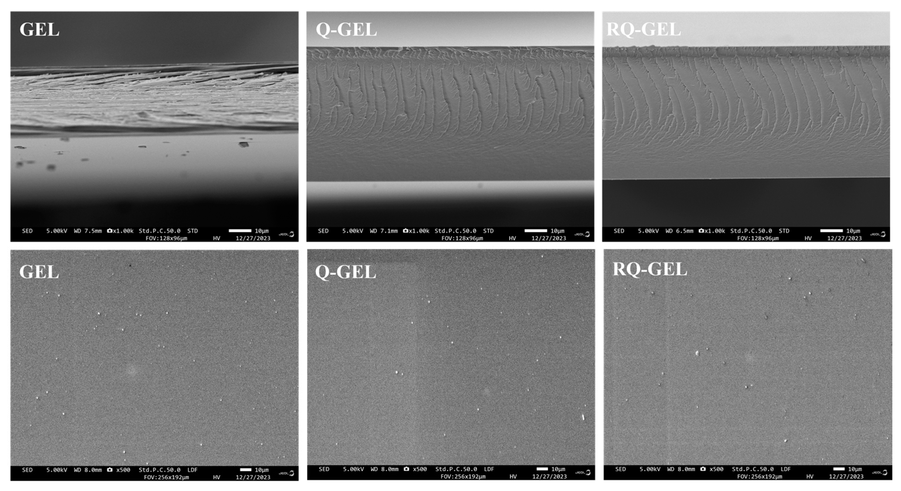 Antioxidants 13 00431 g004