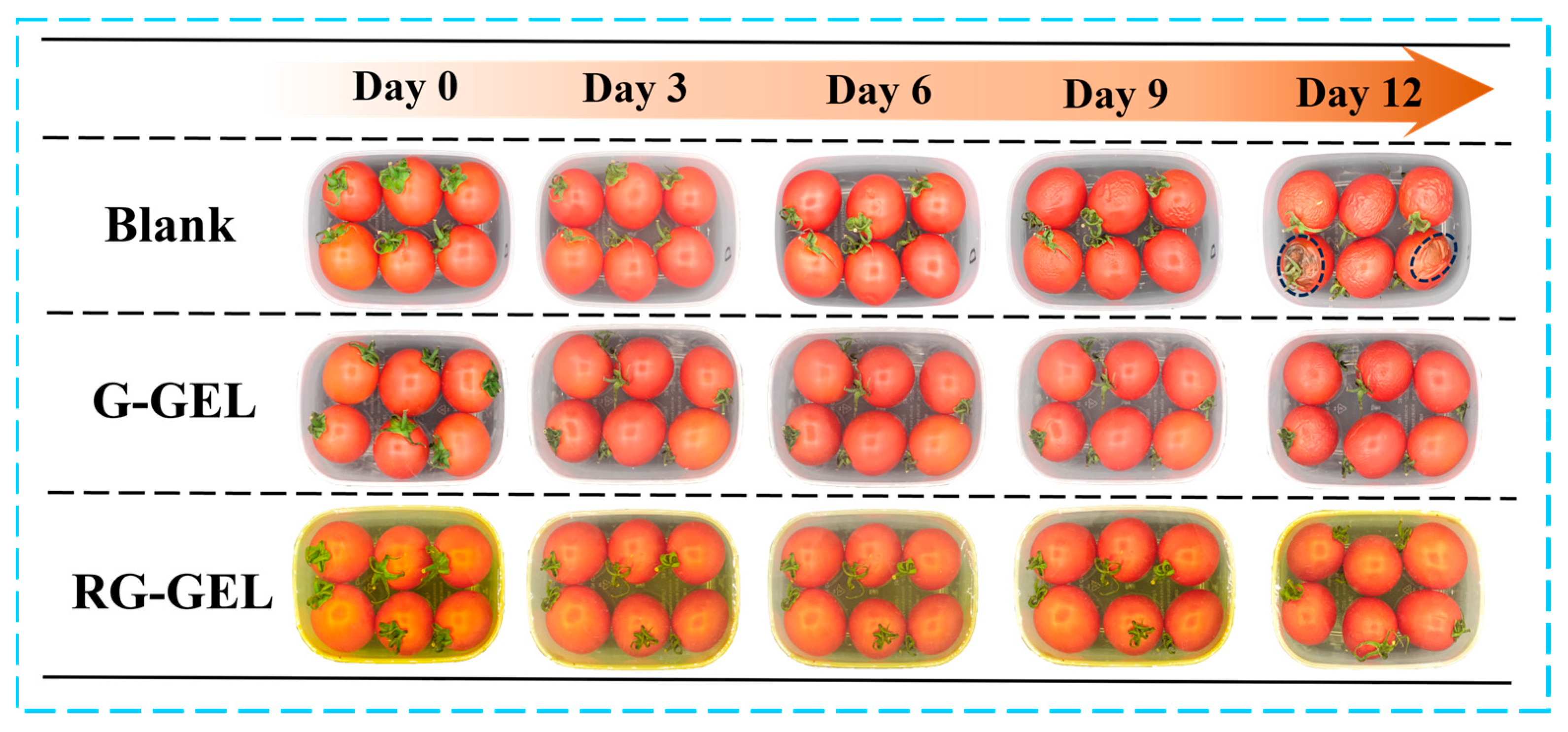Antioxidants 13 00431 g007