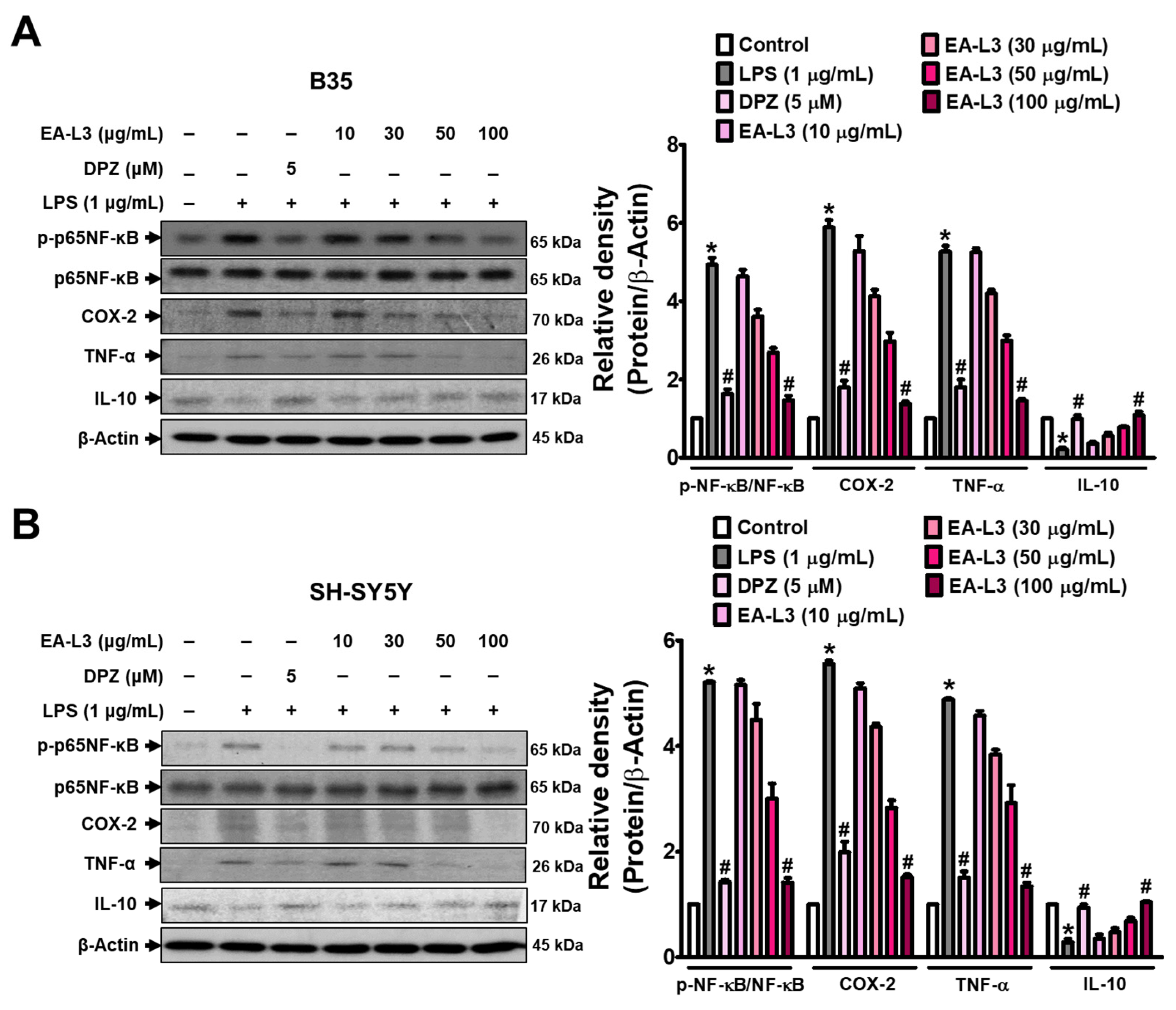 Antioxidants 13 00433 g006