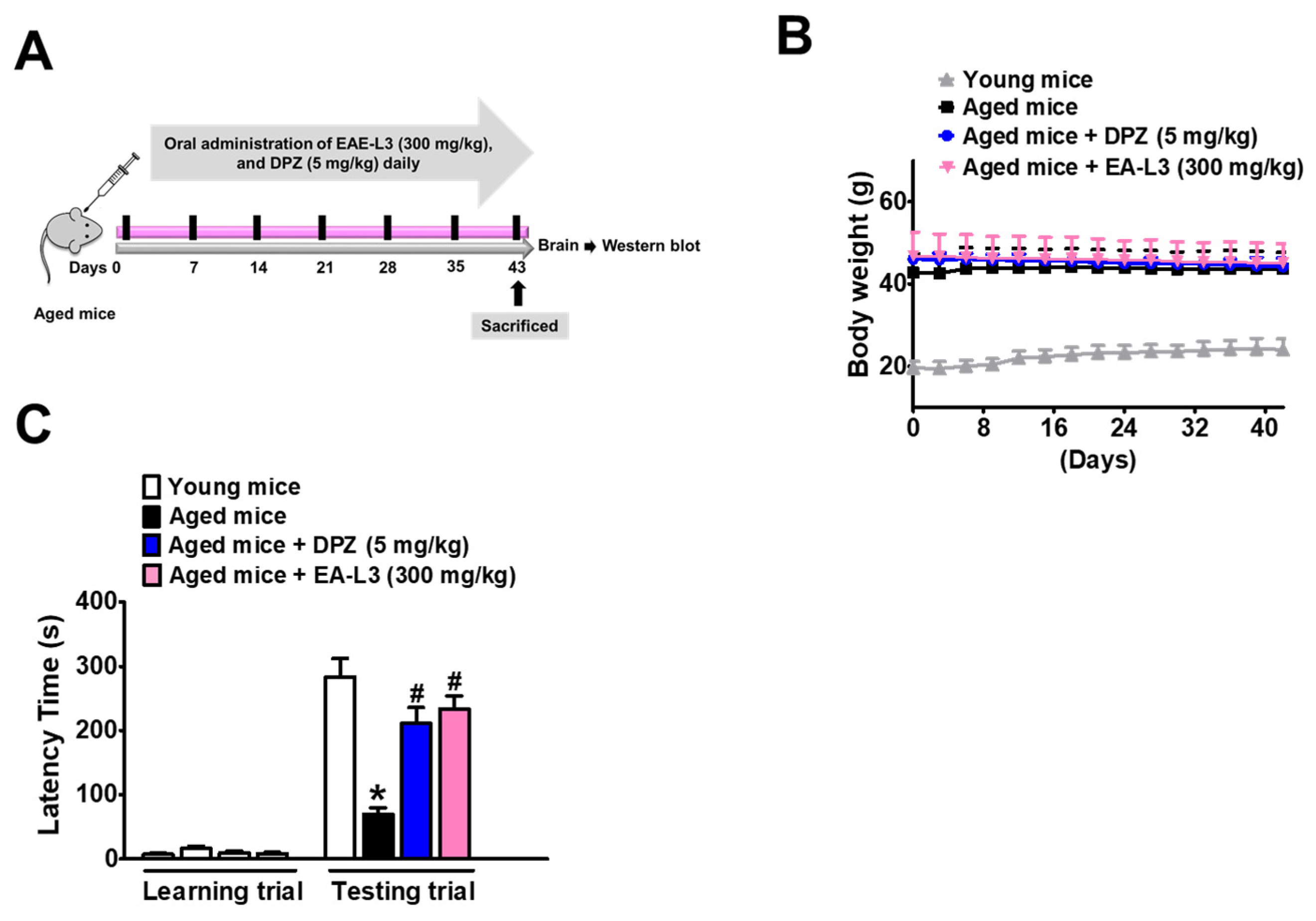 Antioxidants 13 00433 g007