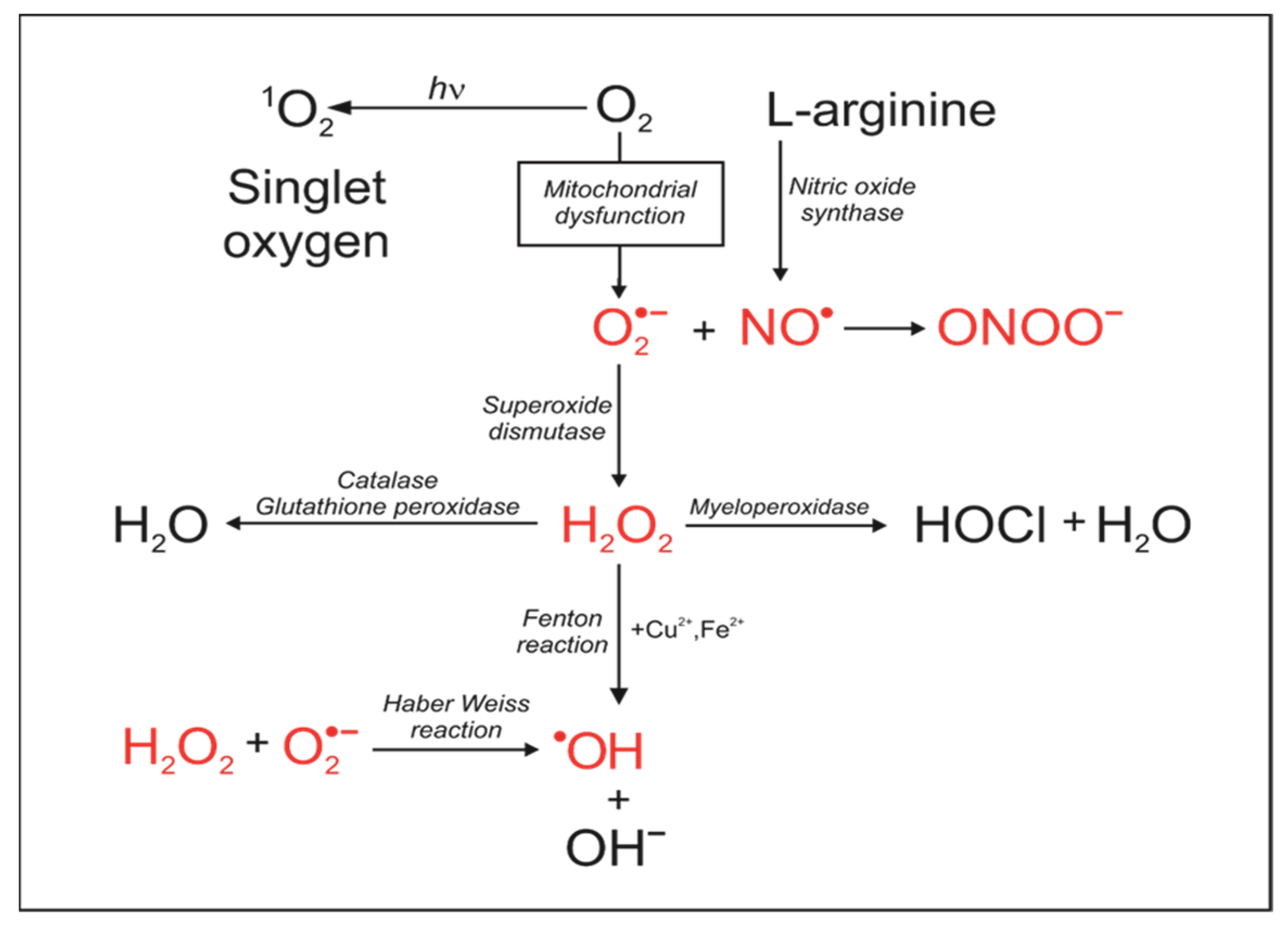Antioxidants 13 00434 g001
