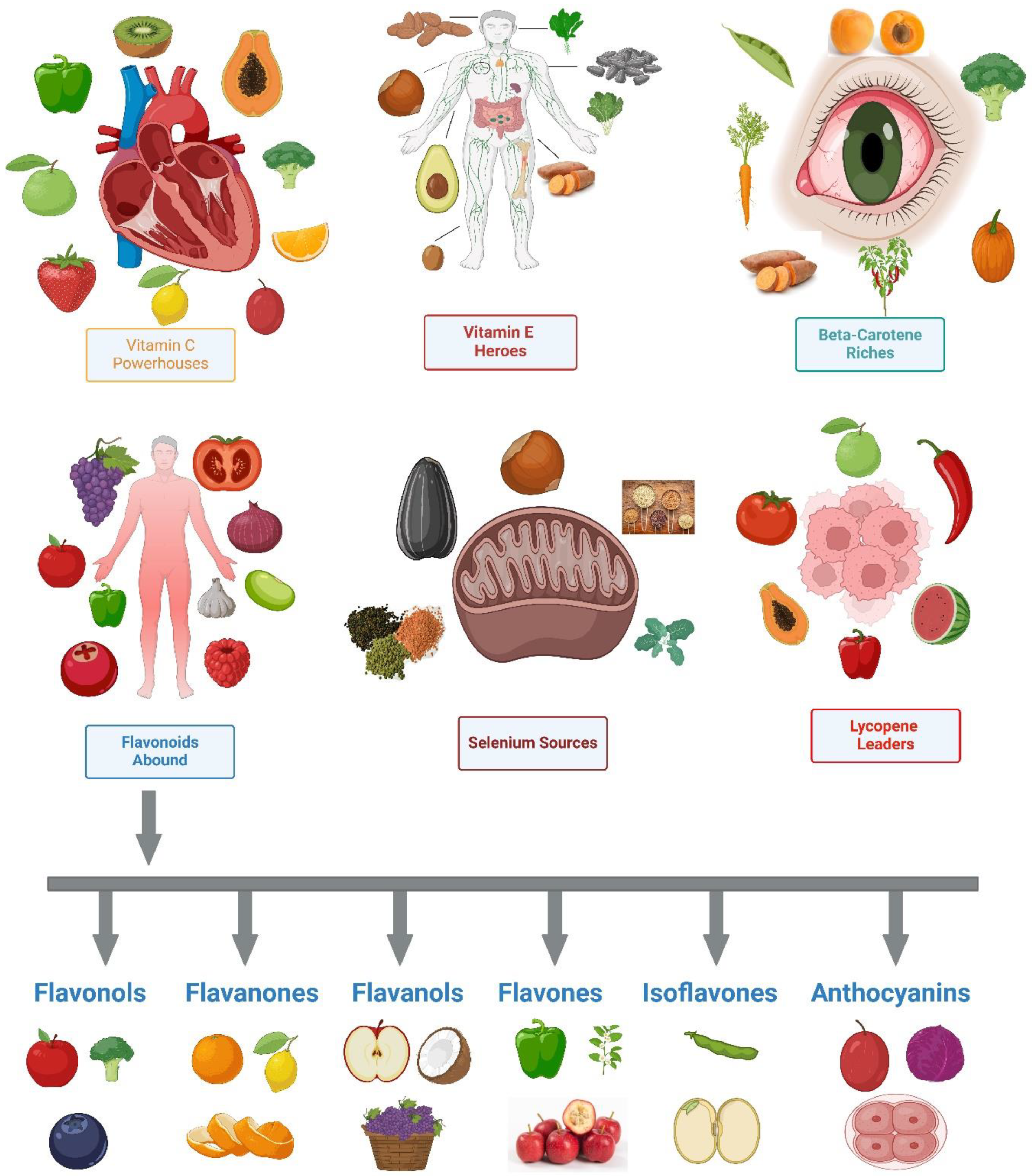 Antioxidants 13 00437 g003