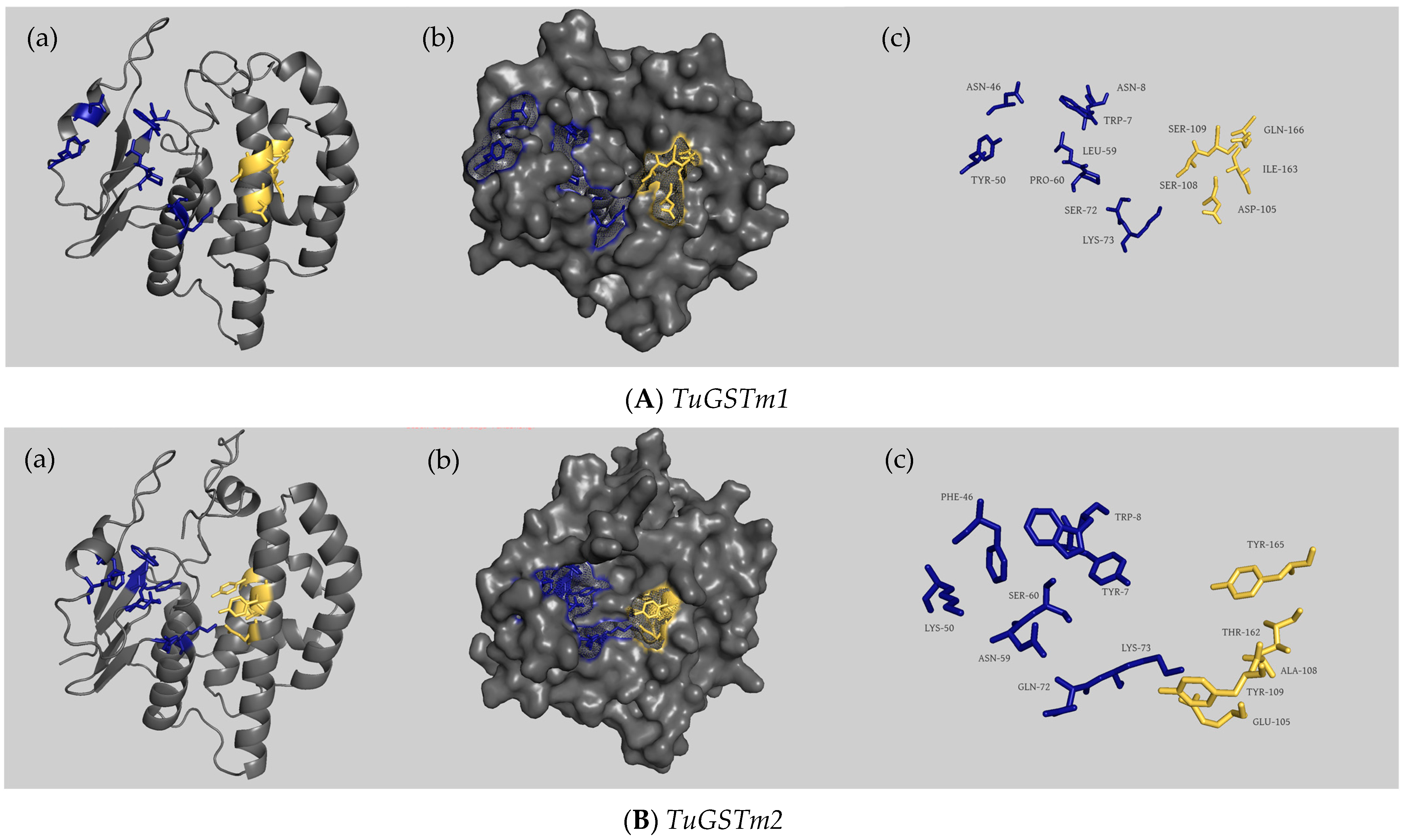 Antioxidants 13 00442 g003a