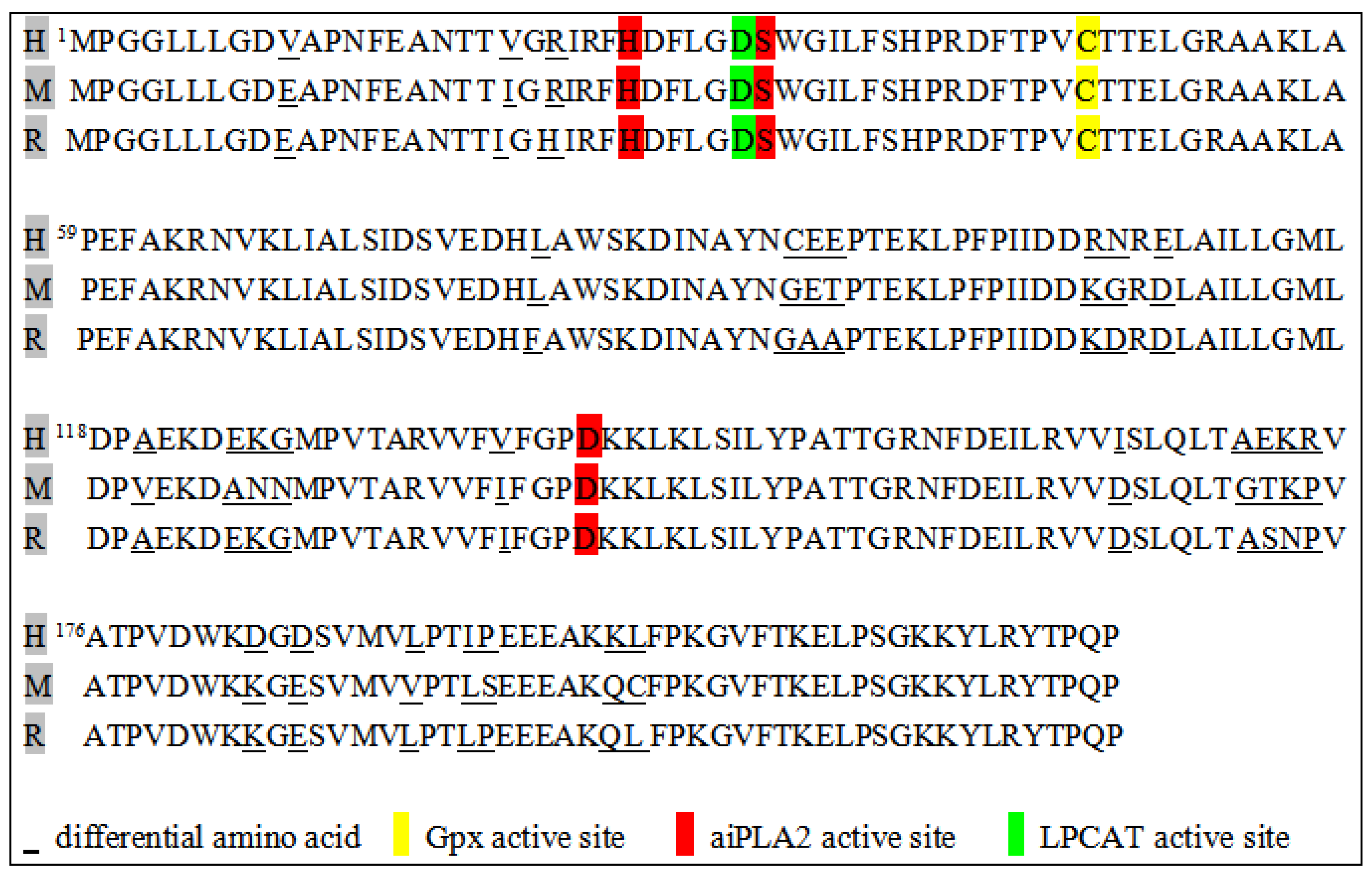 Antioxidants 13 00449 g001