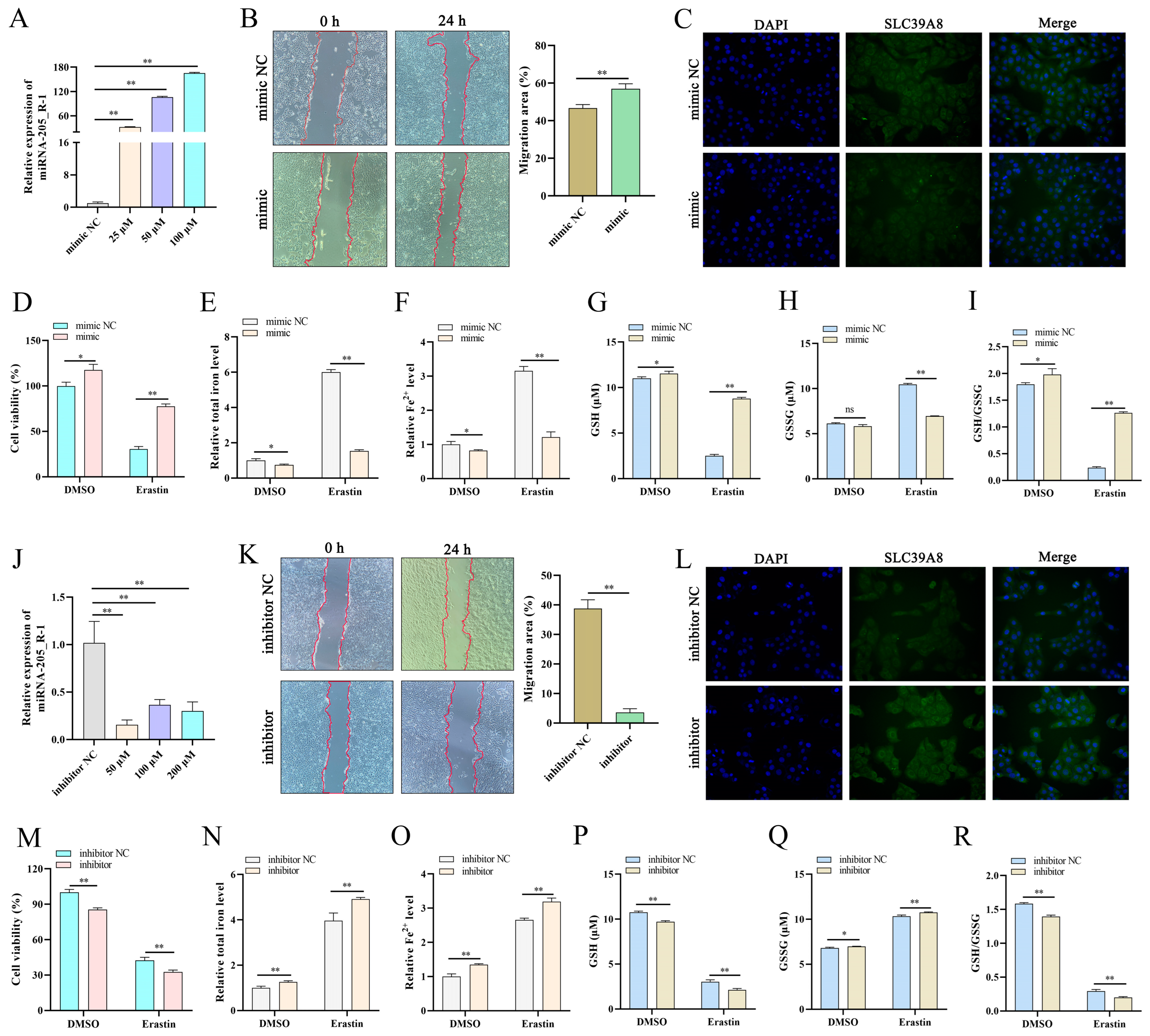 Antioxidants 13 00451 g003
