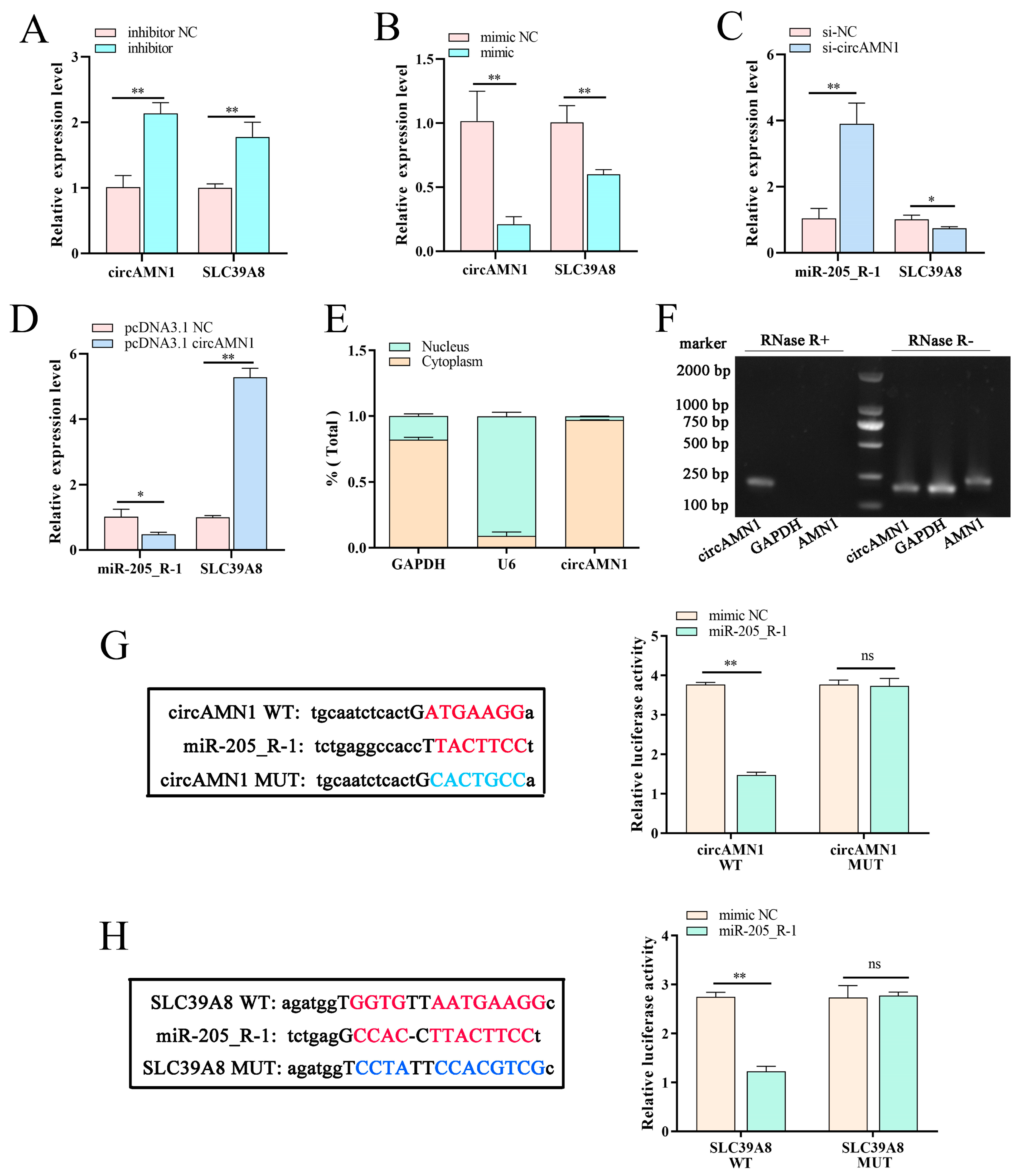 Antioxidants 13 00451 g005