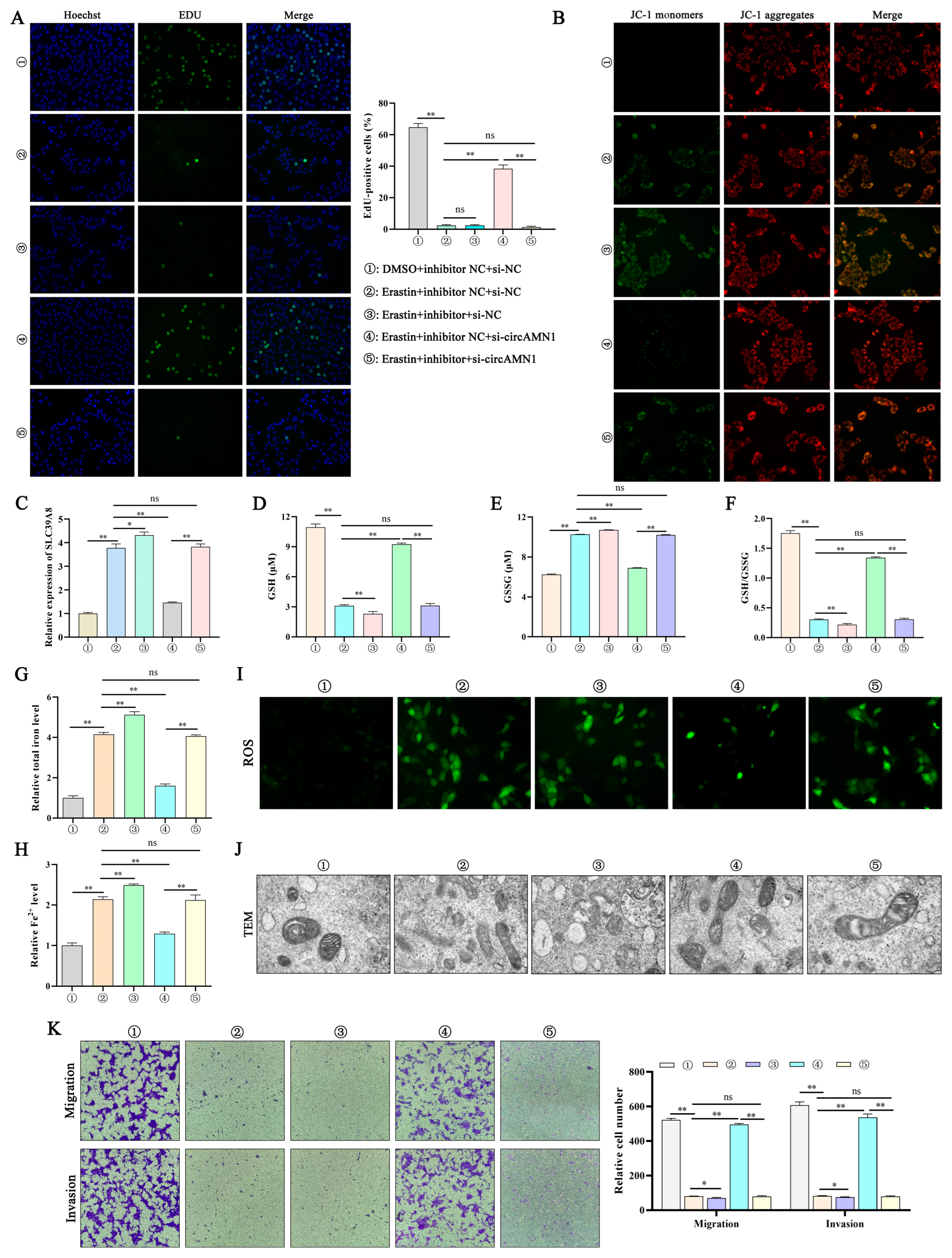 Antioxidants 13 00451 g006