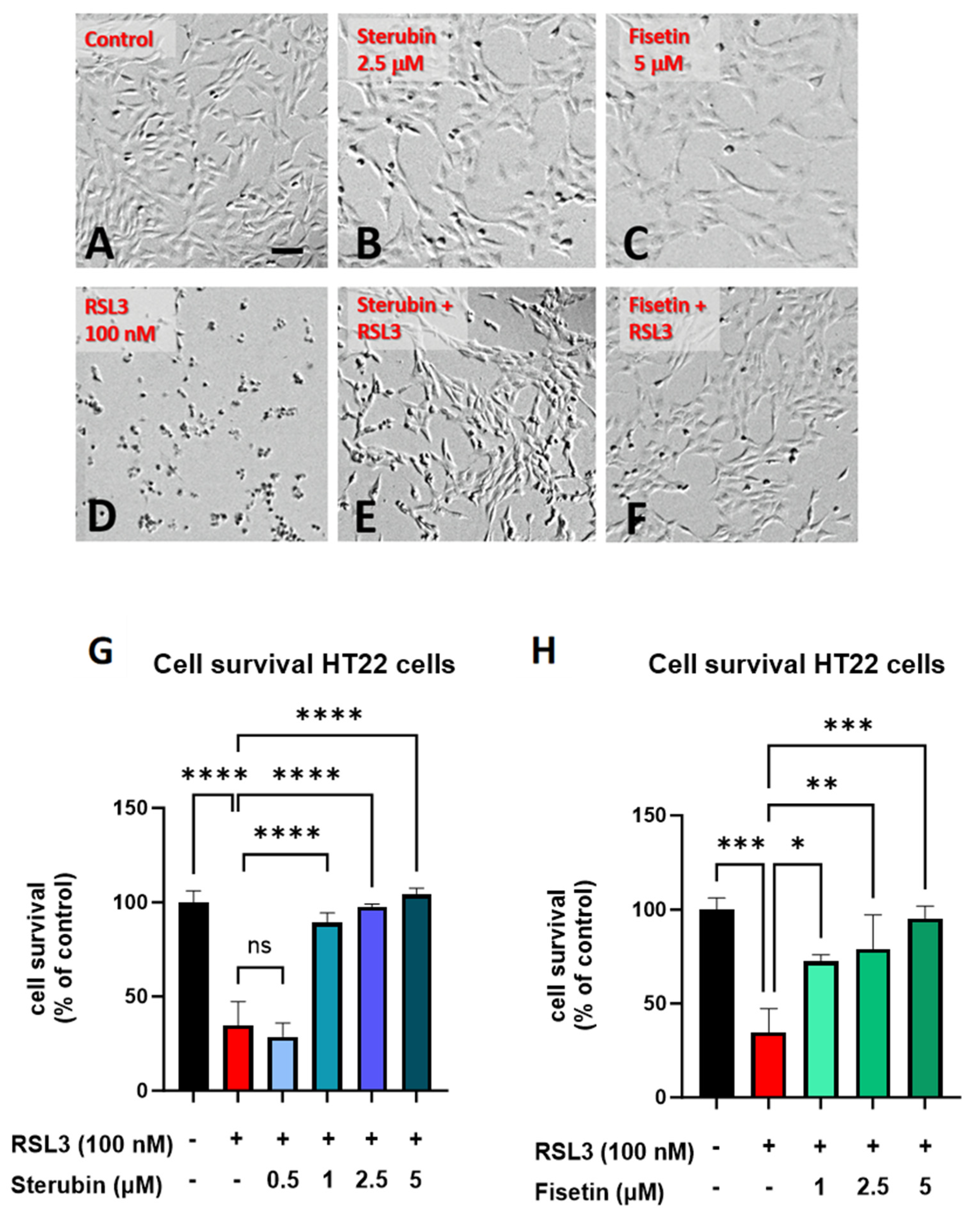Antioxidants 13 00460 g001