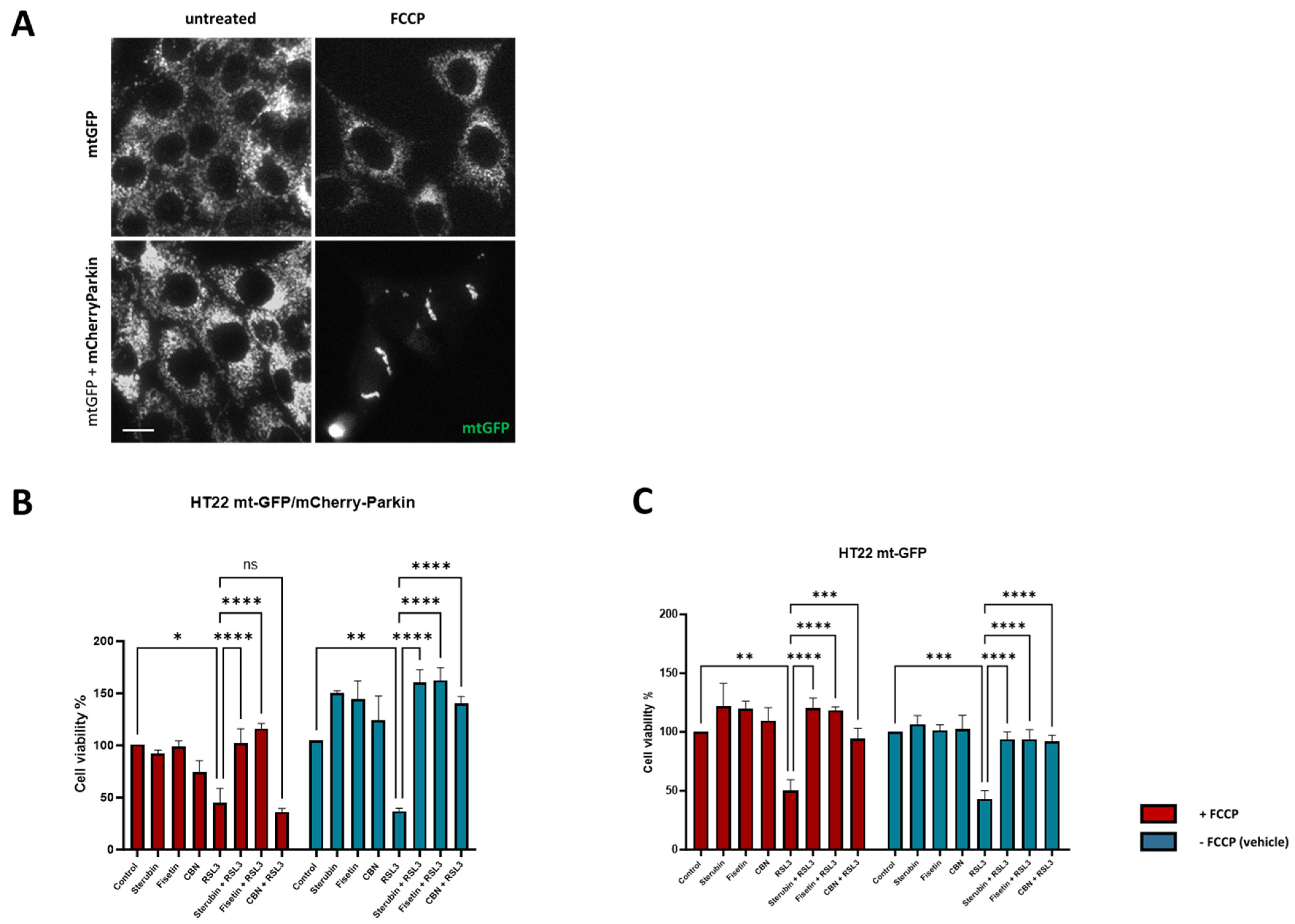 Antioxidants 13 00460 g009