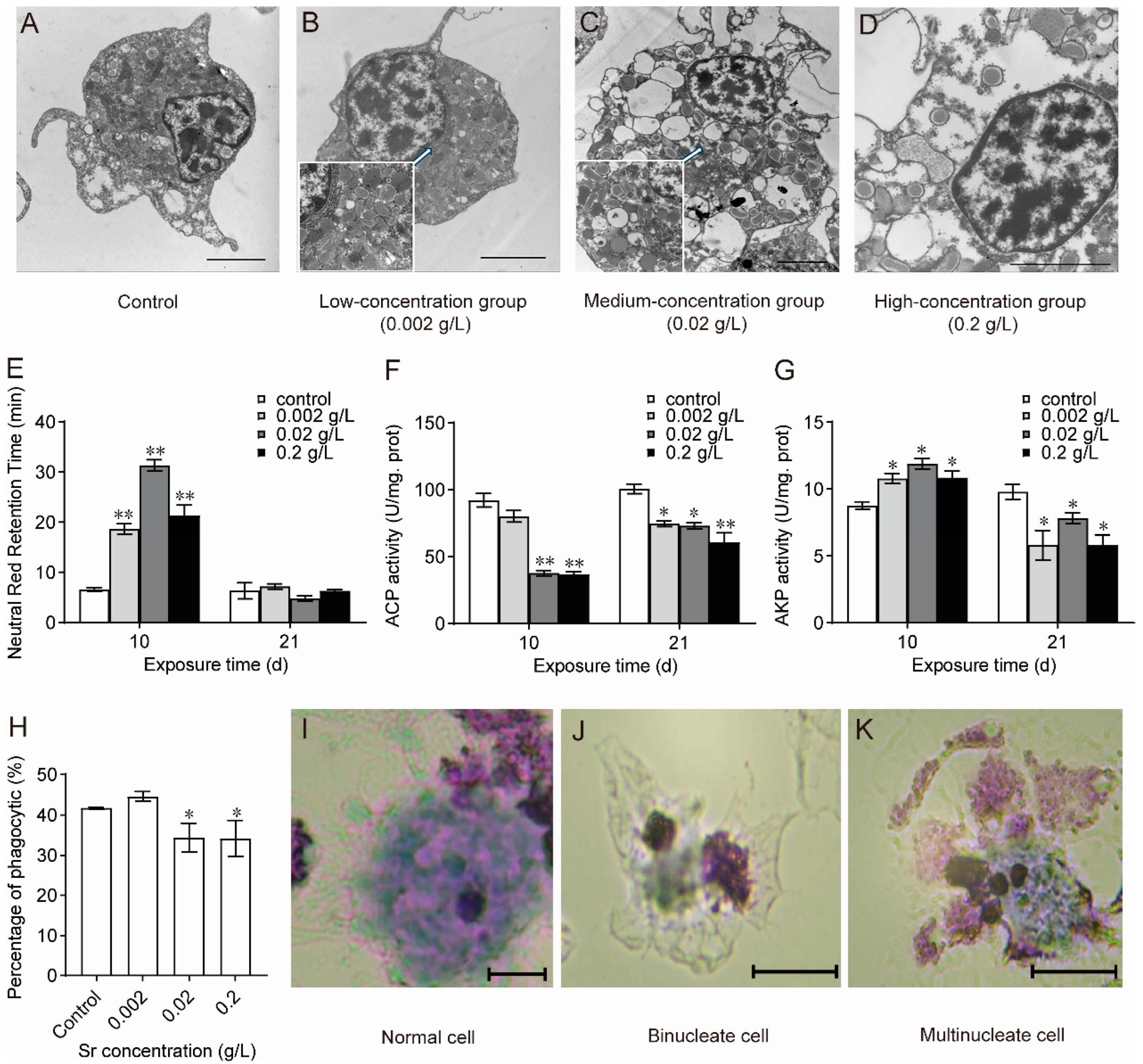 Antioxidants 13 00464 g003