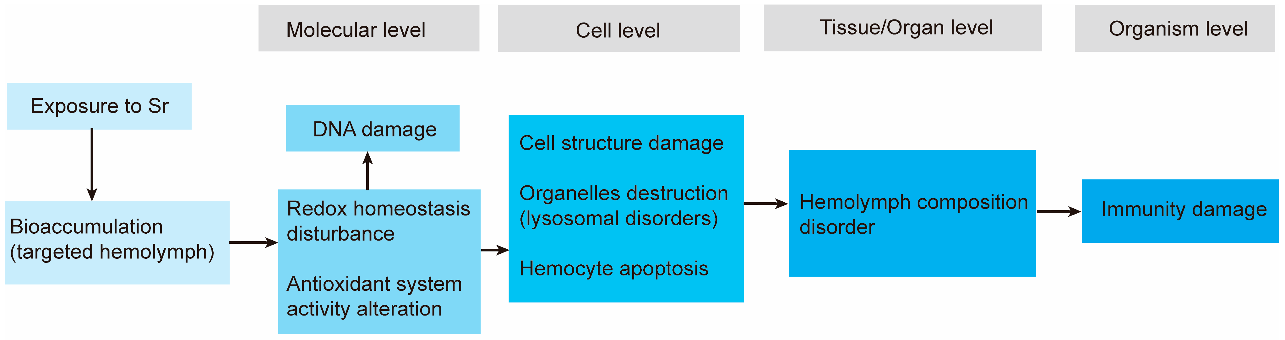 Antioxidants 13 00464 g005